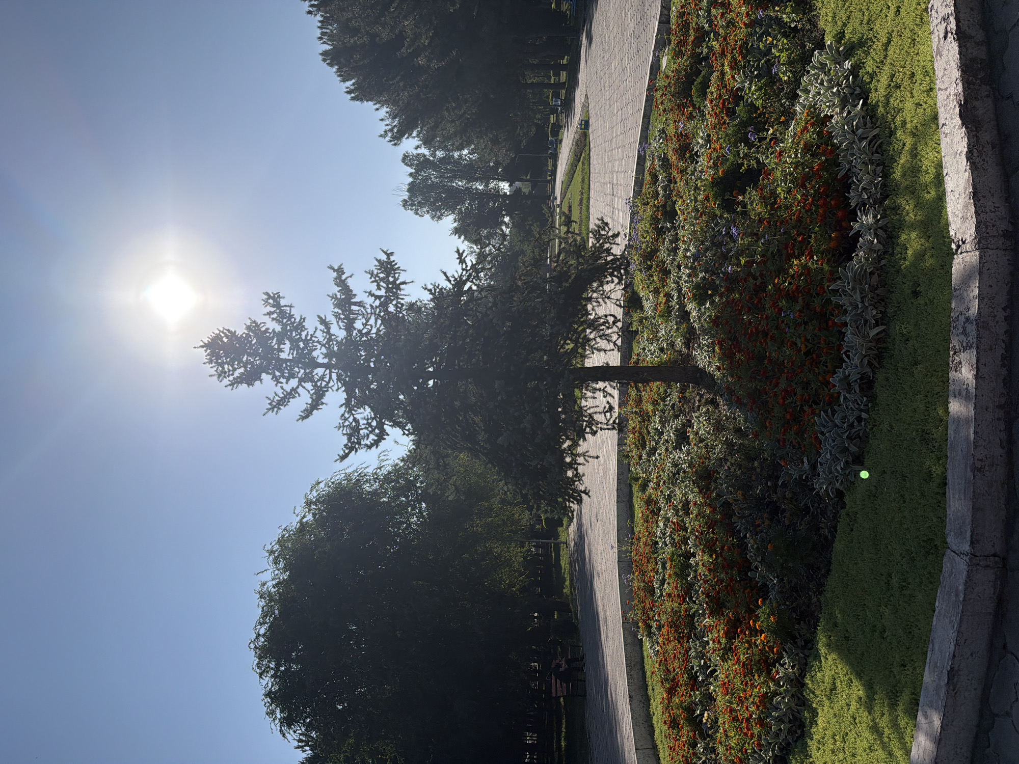 Sunny park visit among roses, zinnias, and cobblestone paths