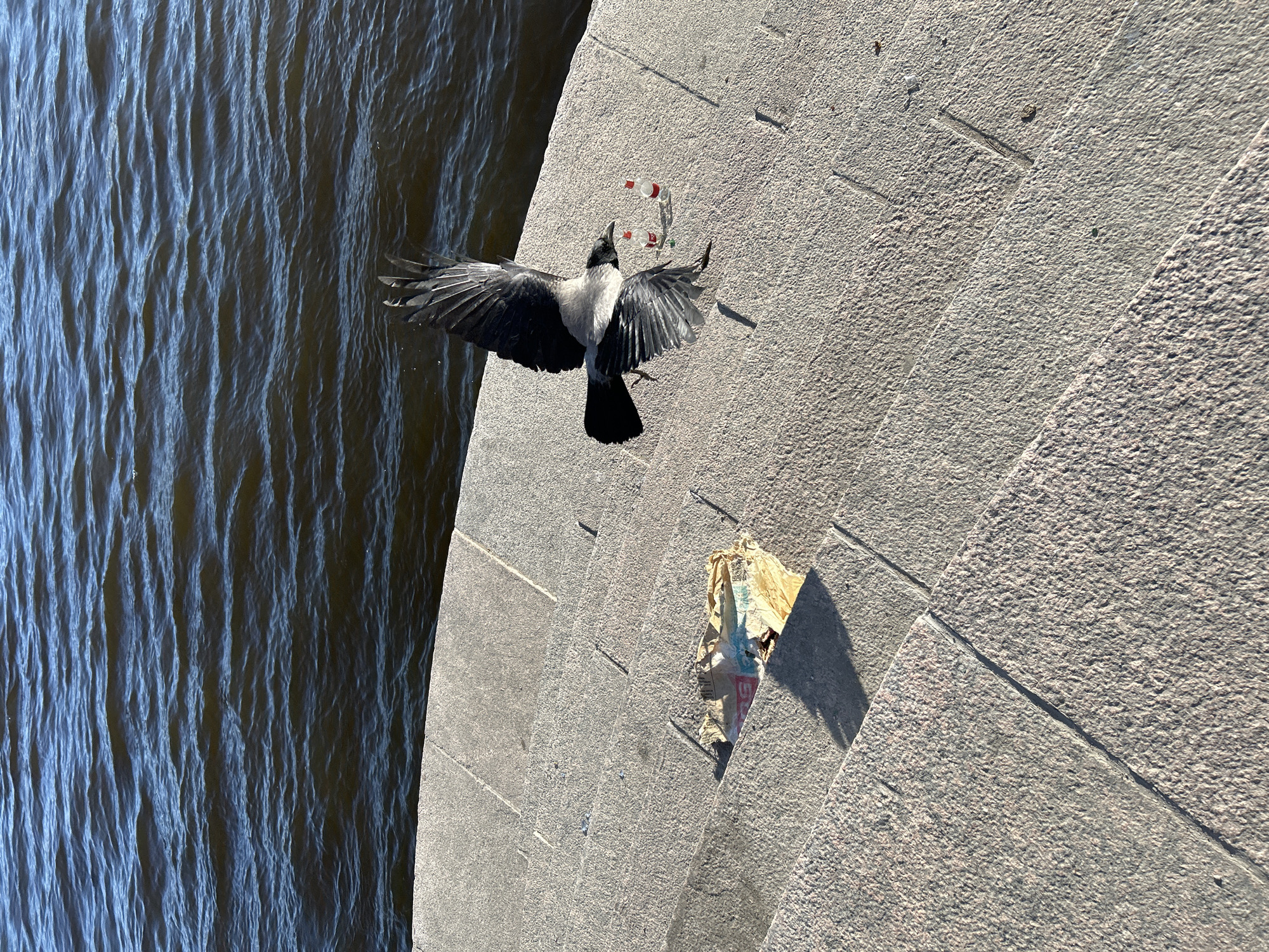 Witness documents Saint Petersburg waterfront views on sunny afternoon