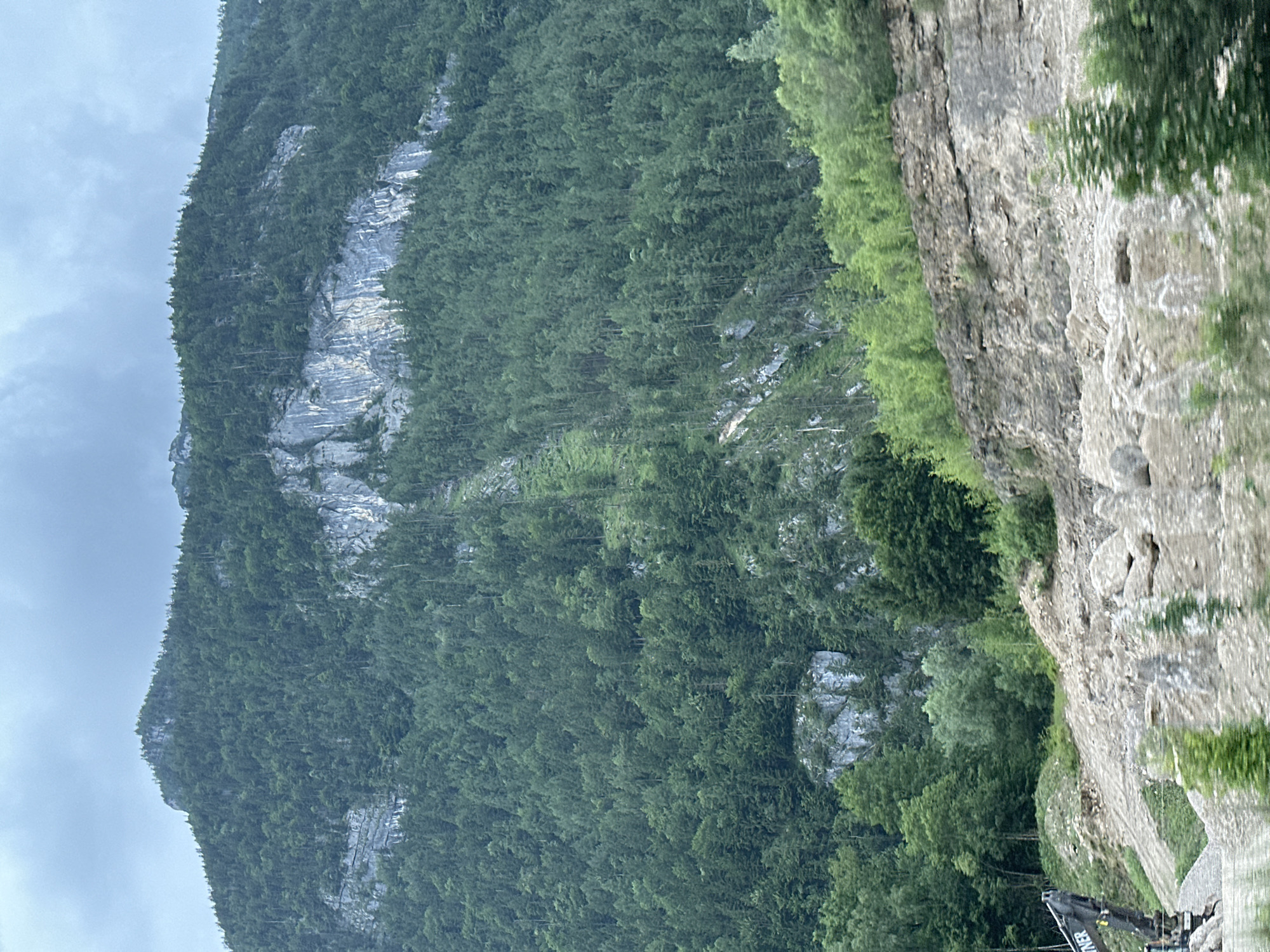 Rocky cliffs and dense forest in the Austrian Alpine highlands.