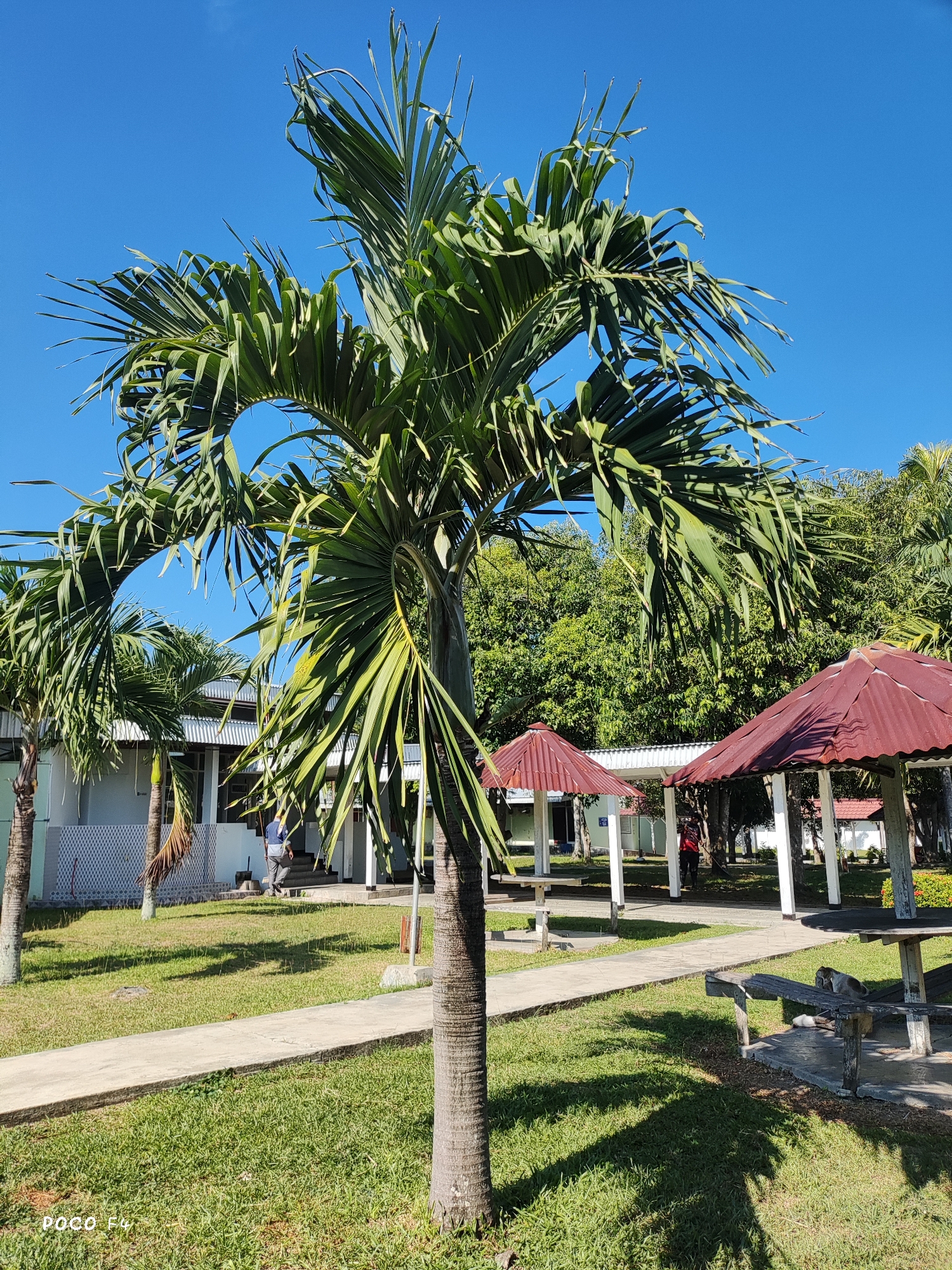 Streets, parks, and signage in a tropical Indonesian setting
