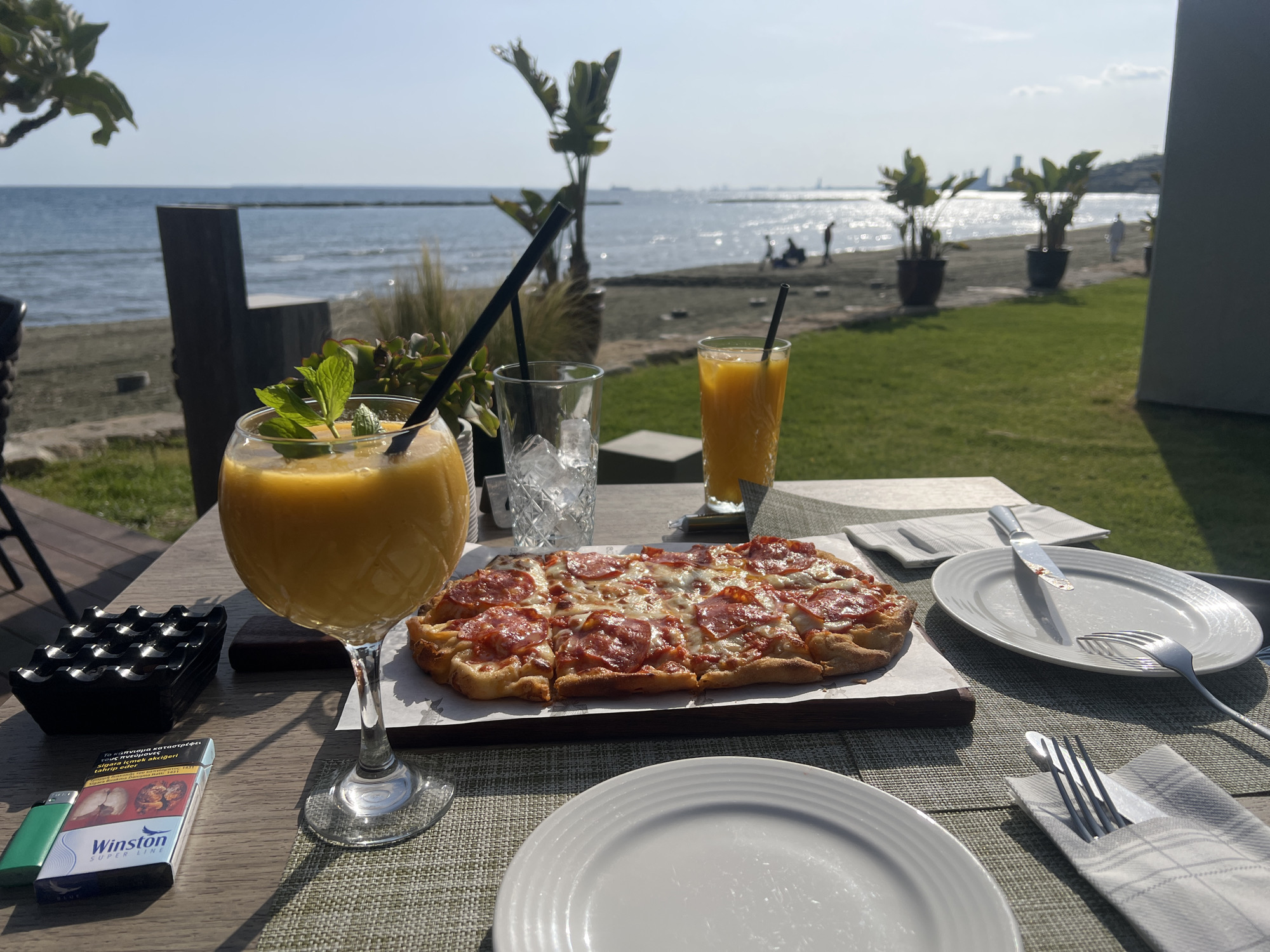 Beachside restaurant meal documented by independent witnesses