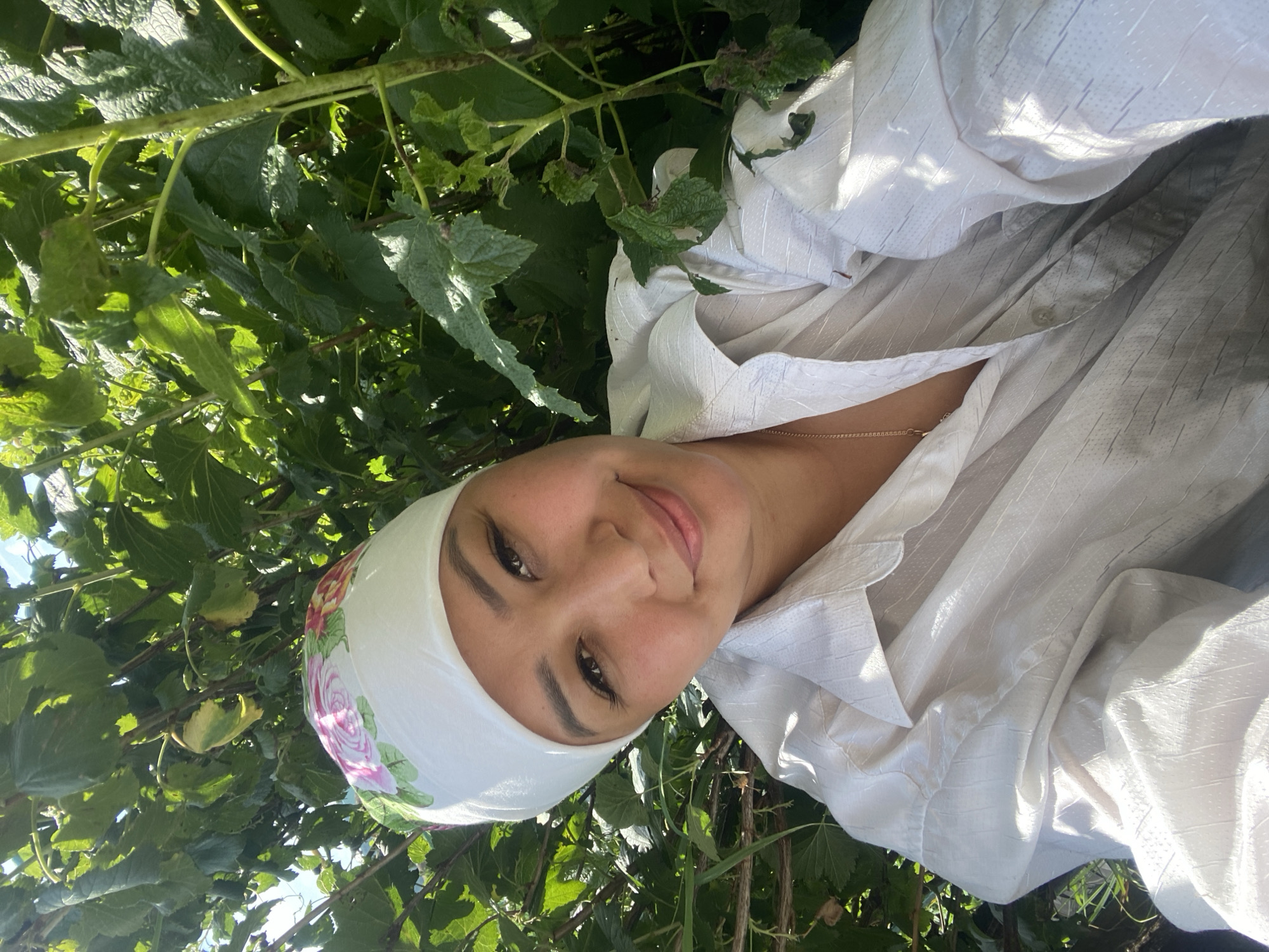 Picking blackcurrants in a Russian village garden