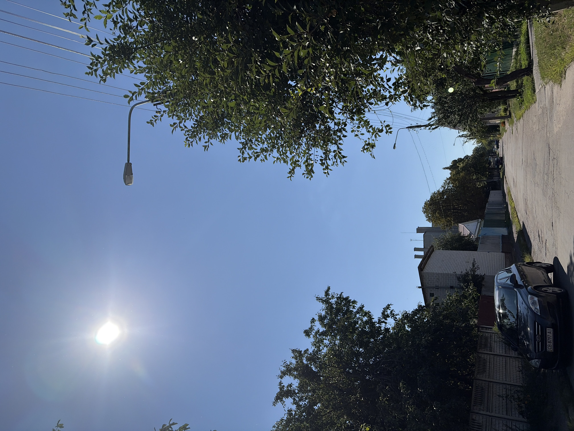 Summer afternoon stroll with flowers, streets, and selfies