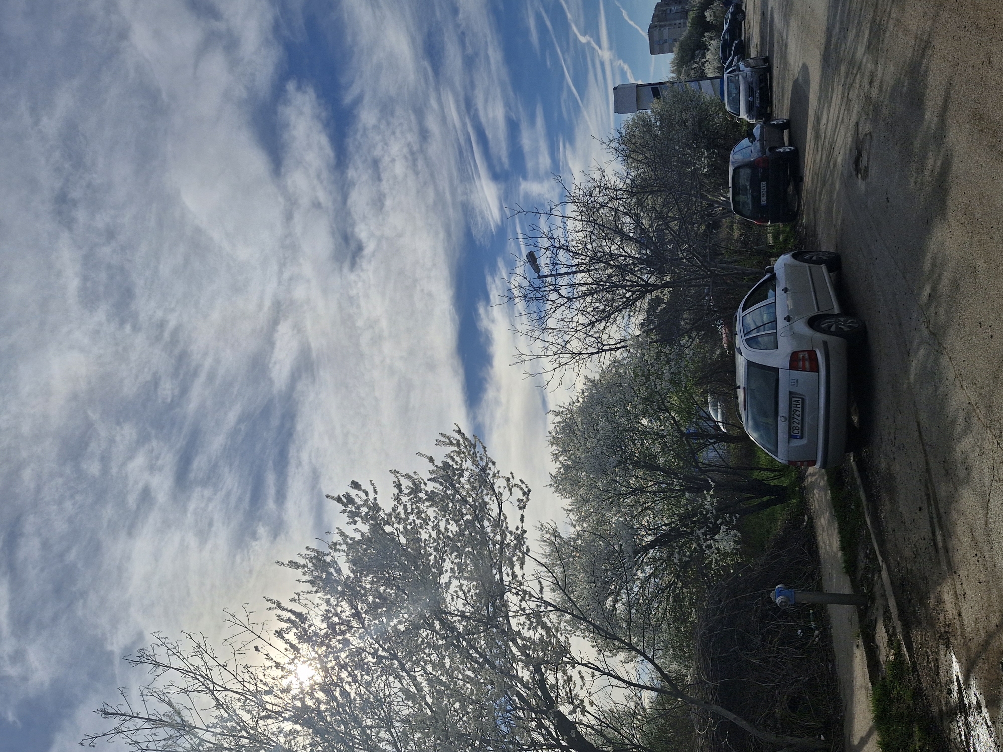 Spring afternoon captured in Sofia with blooming trees, contrails