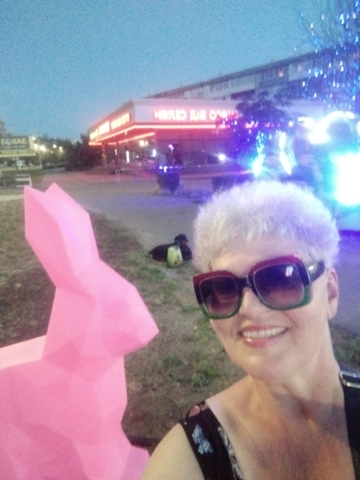Woman documents evening stroll with pink rabbit sculptures in Ukraine