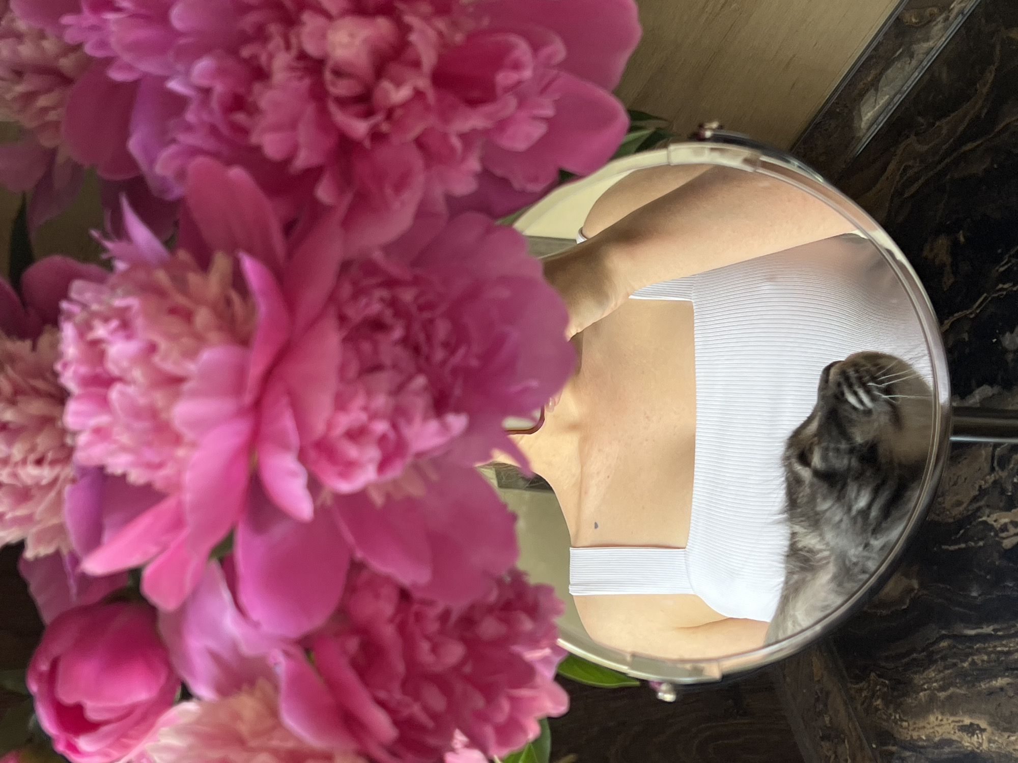 Woman documents quiet morning with cat and peonies in Ternopil