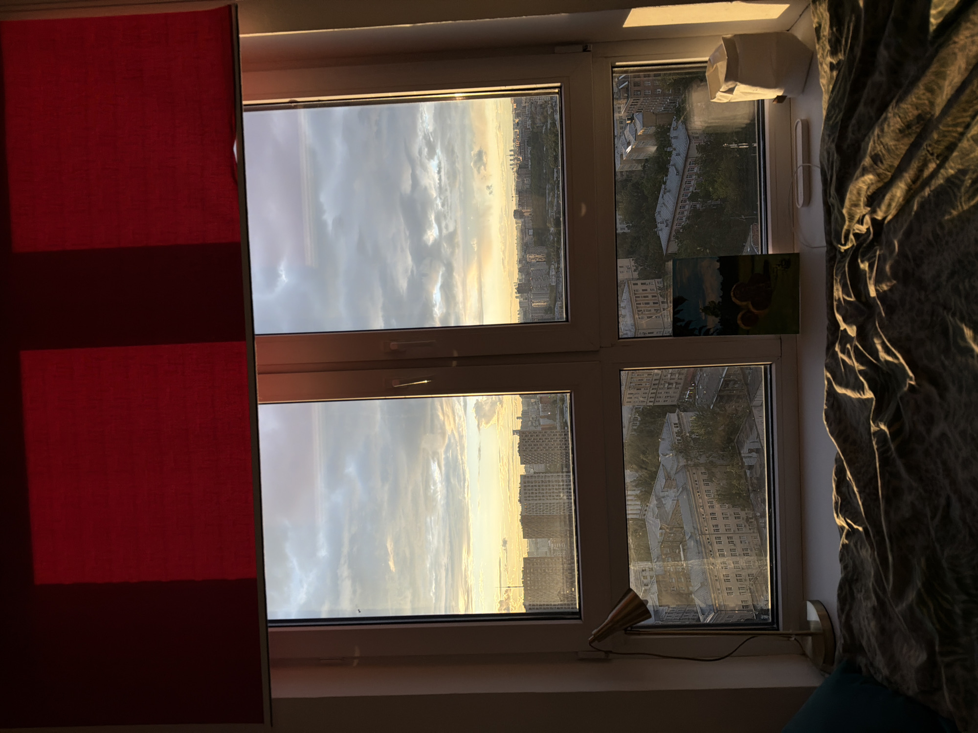 Sunlit apartment interior with city view and Siamese cat