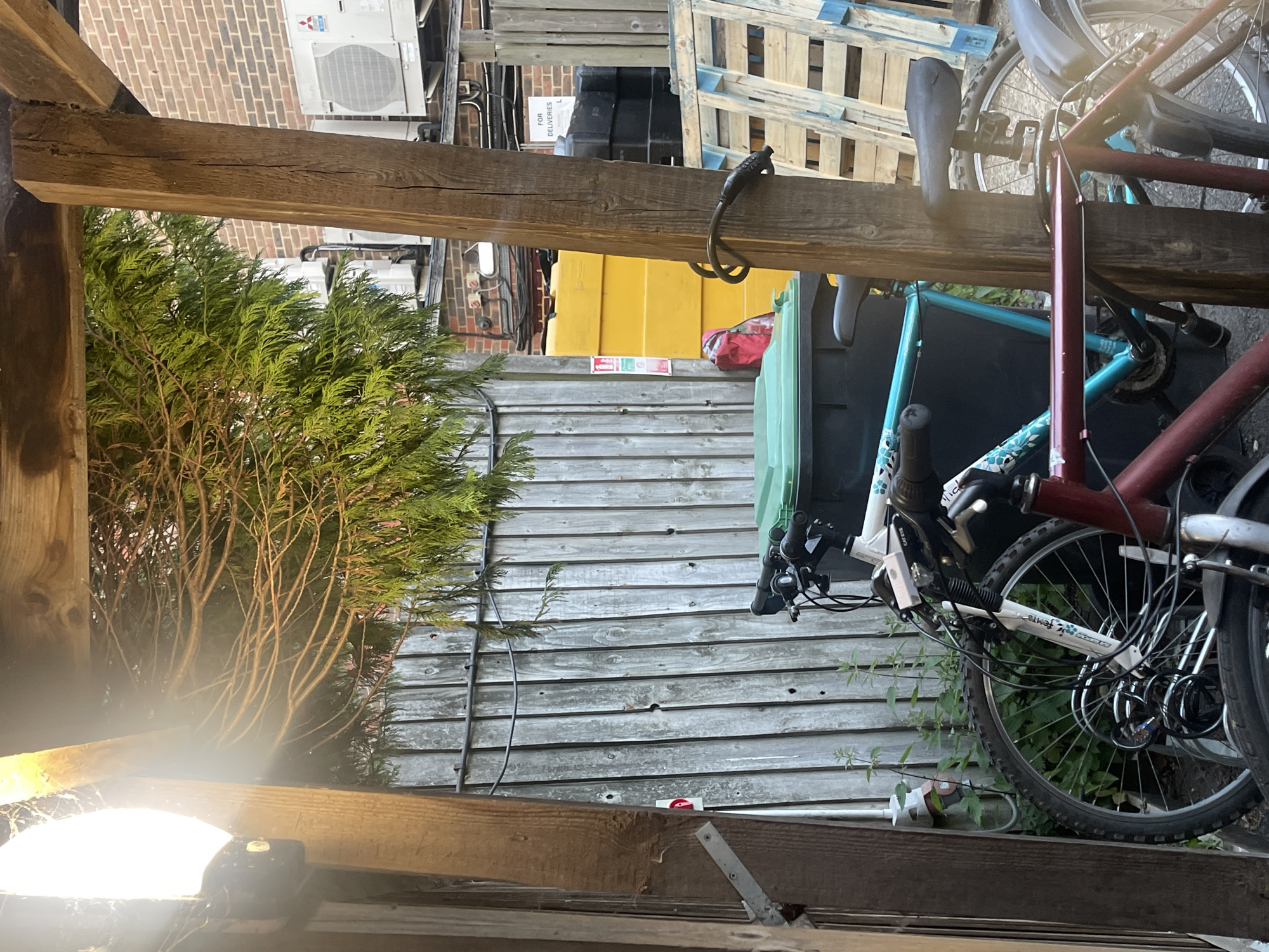 Outdoor scenes captured in Maidstone backyard area