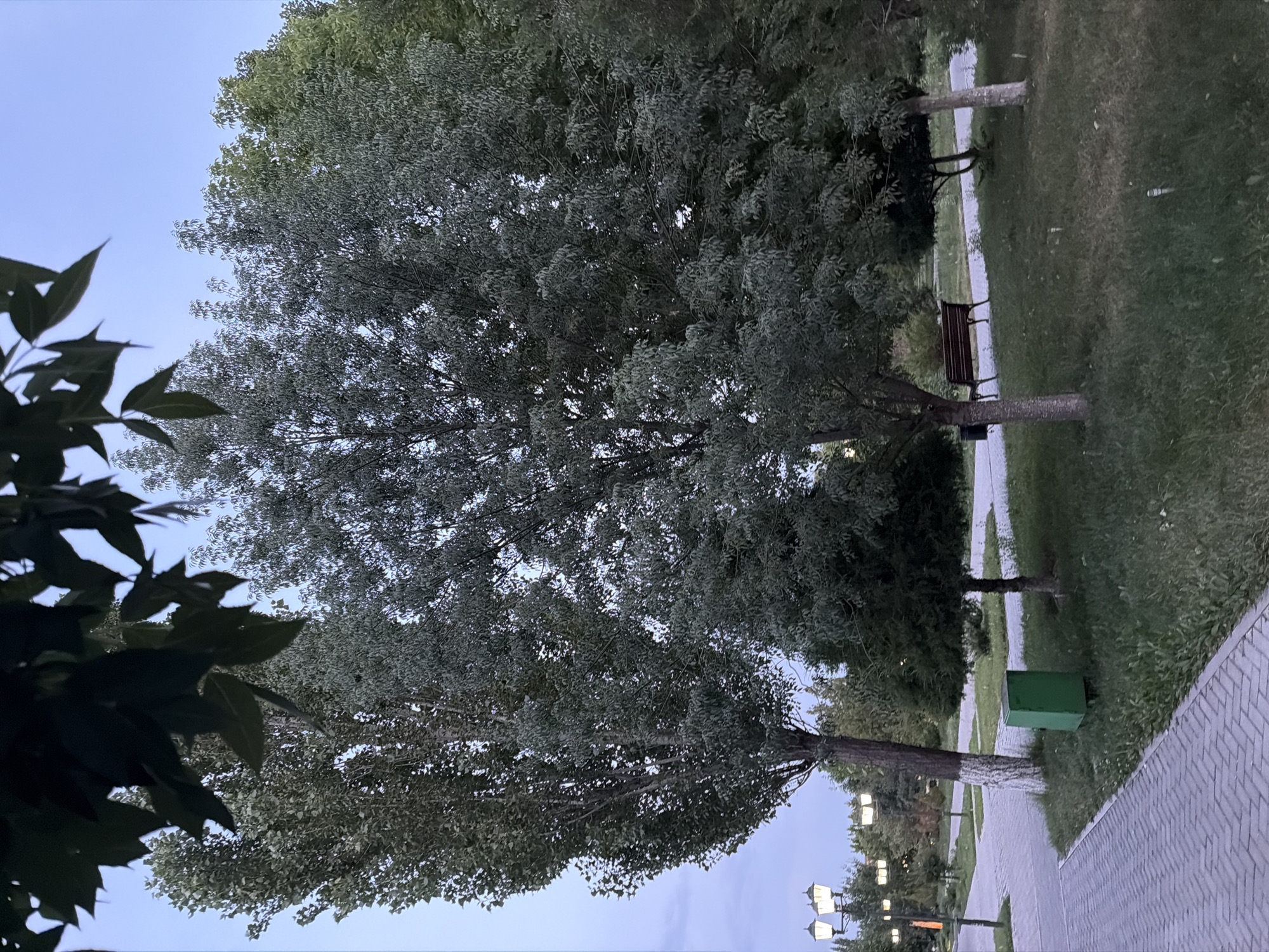 Evening stroll through a Shymkent park at dusk