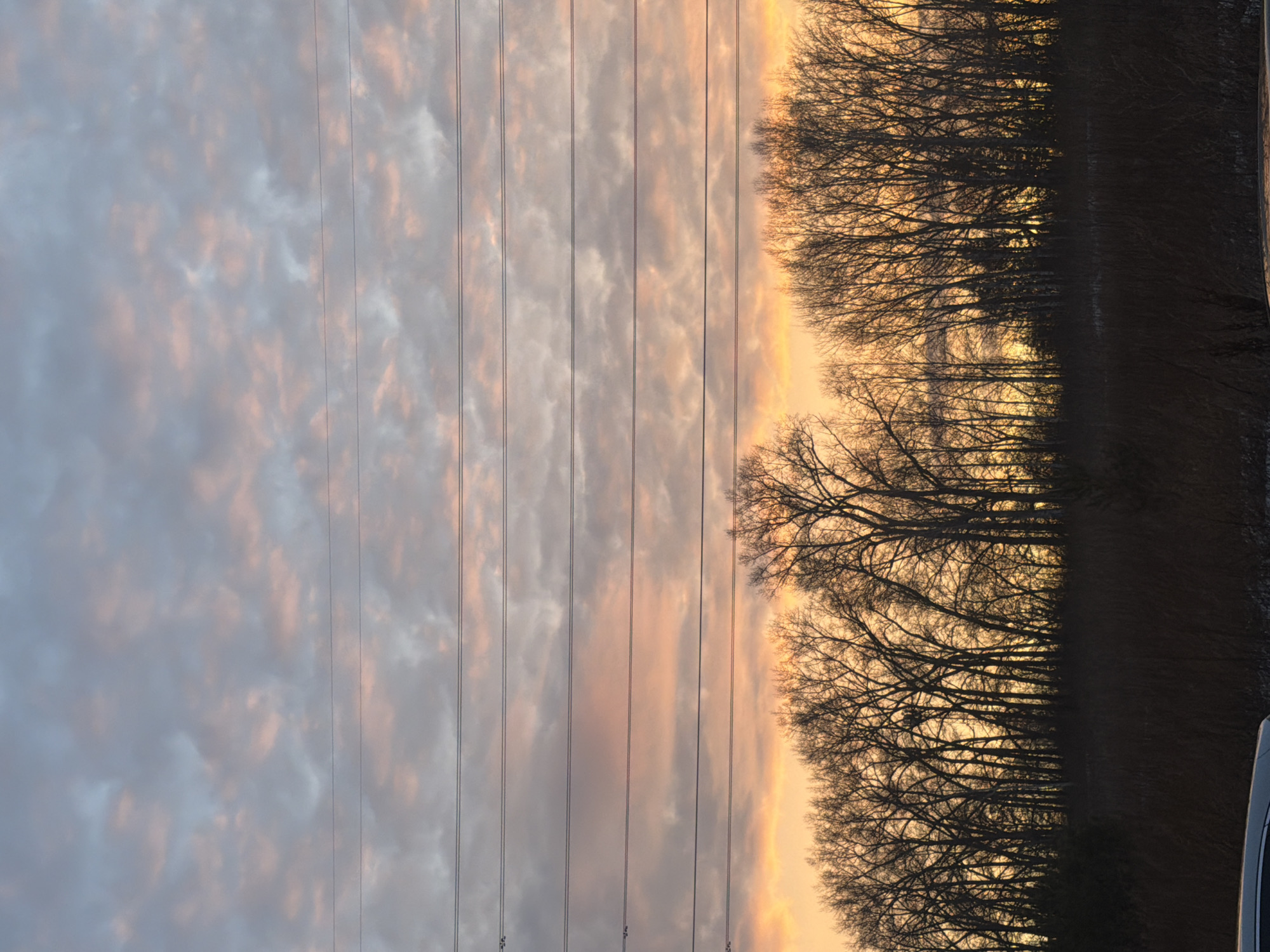 Sunset landscape with bare trees captured in Krasnoyarsk