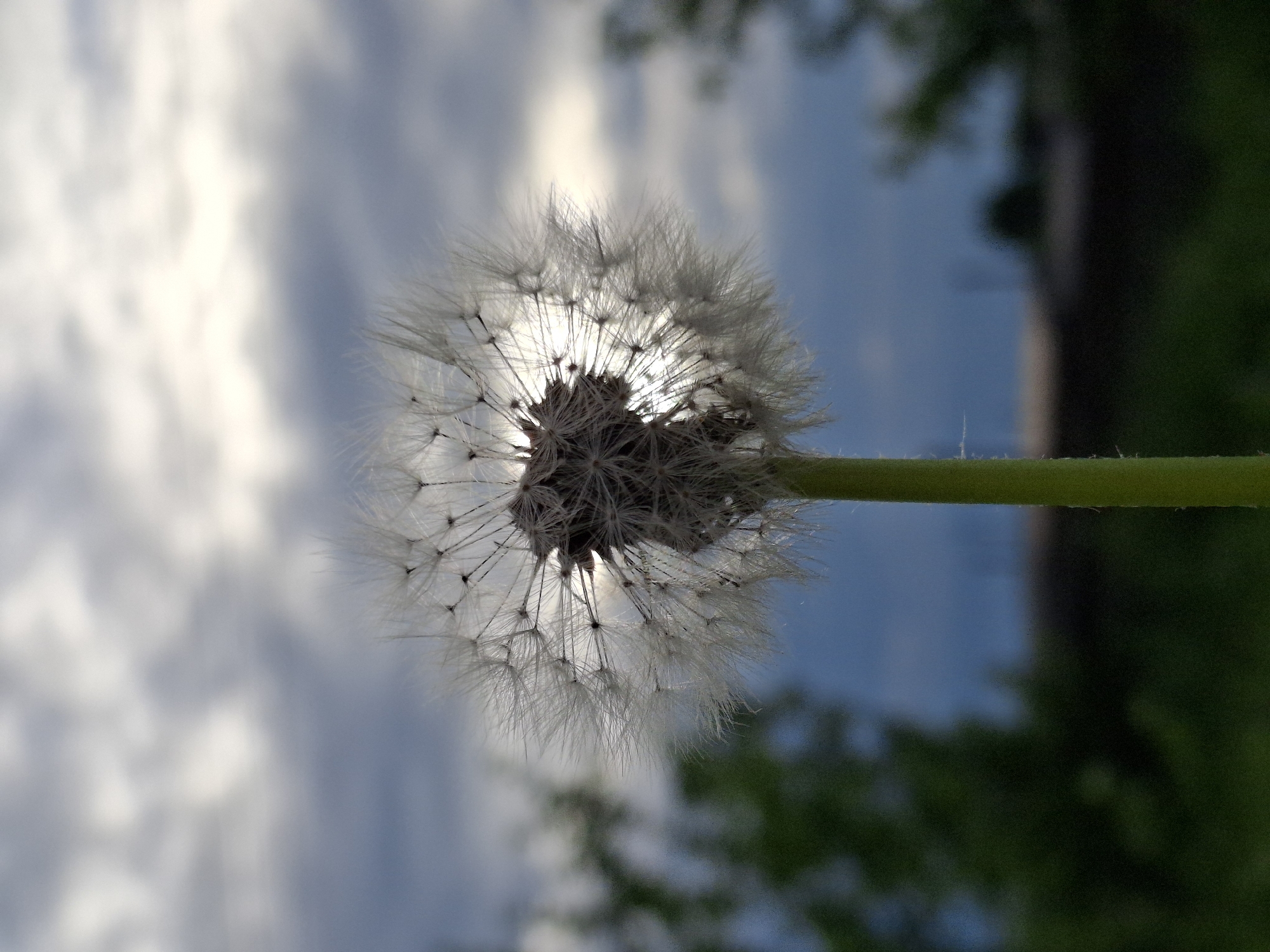 Lazy summer afternoon in Chaikovsky — nature, food, and fresh air