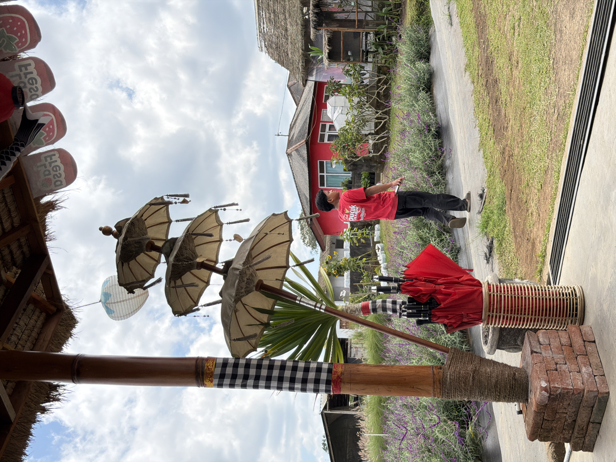Strawberry farm attraction in Kintamani with pigeons, flowers, and a dog