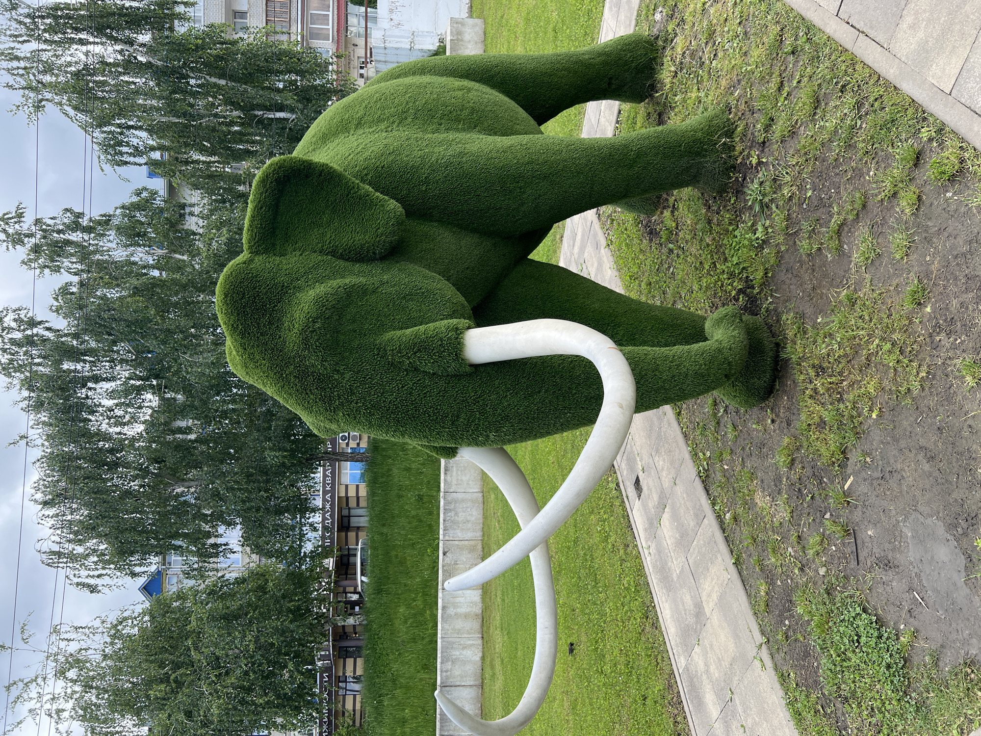 Daily life moments documented across Goryachiy Klyuch parks and streets