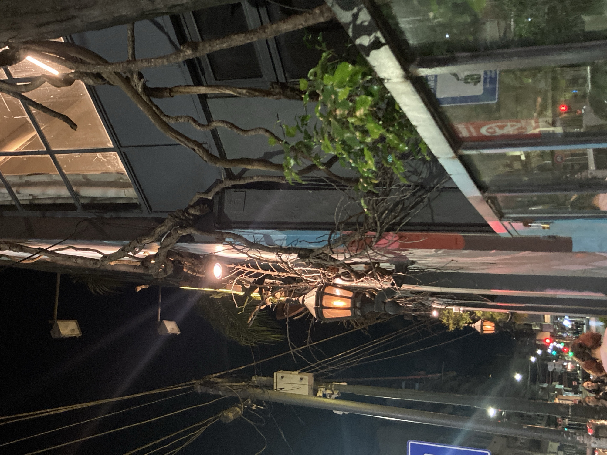 Nighttime urban documentation captures murals, architecture, street scenes
