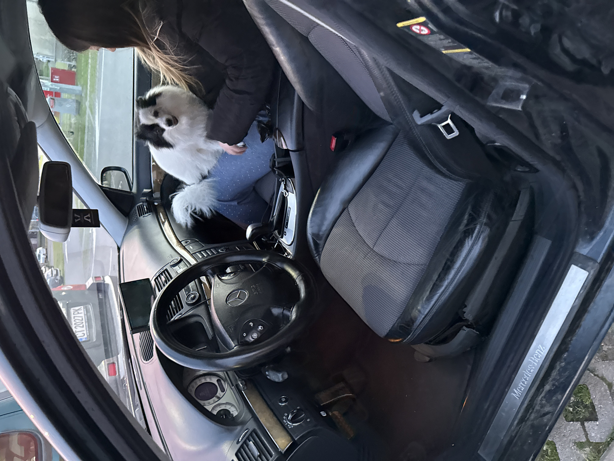 Woman with small dog spotted in Mercedes parking lot
