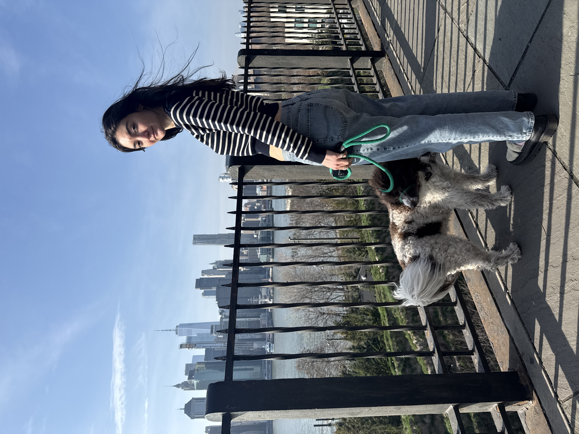 Dog walker enjoys Manhattan skyline views from Brooklyn waterfront