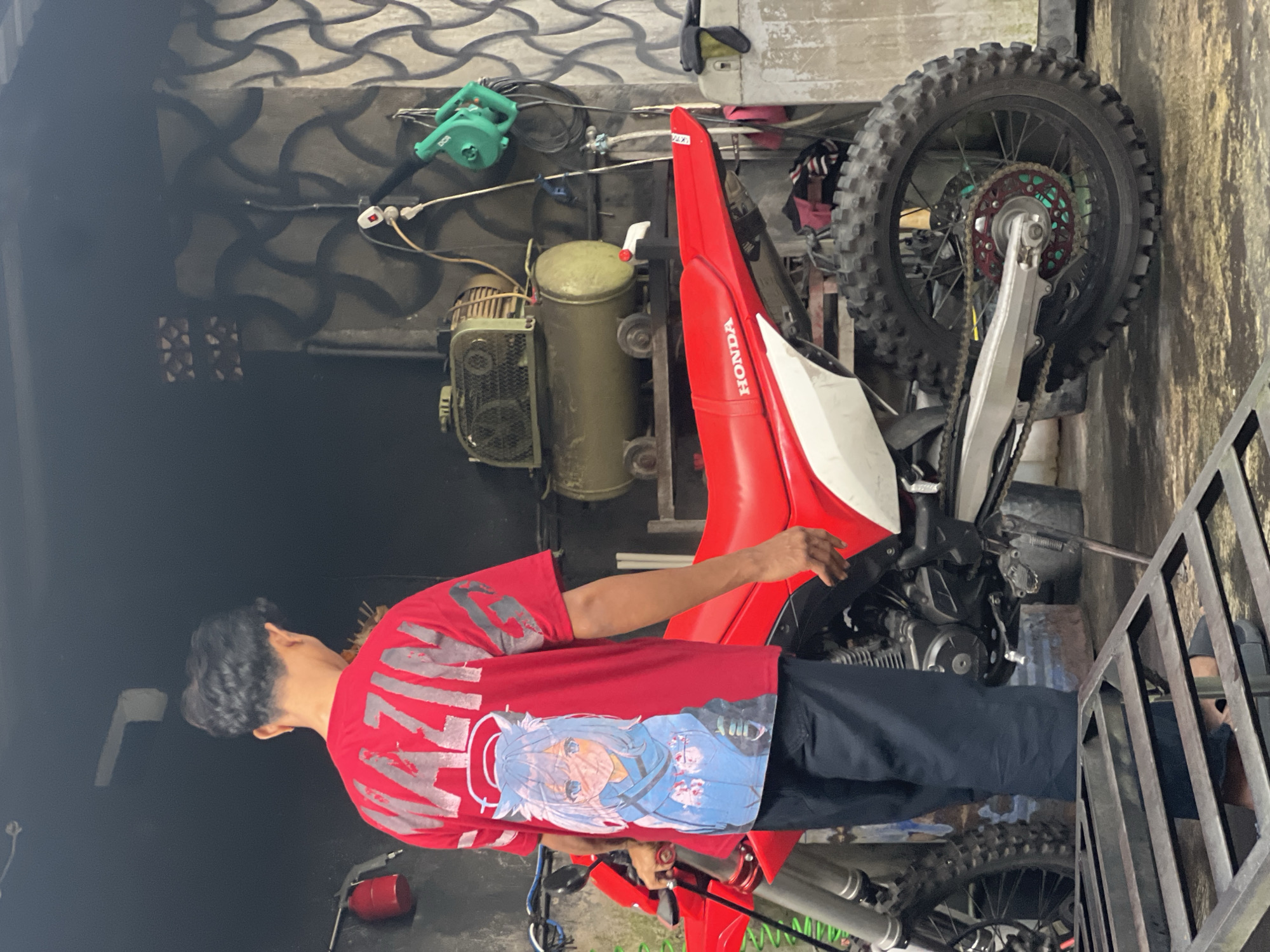 Dirt bike, a stray cat, and trees in Denpasar