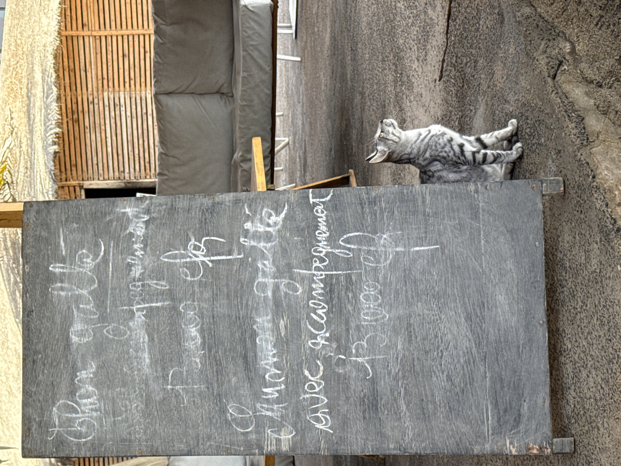 Dakar coastal life: surfing and street cats captured Monday