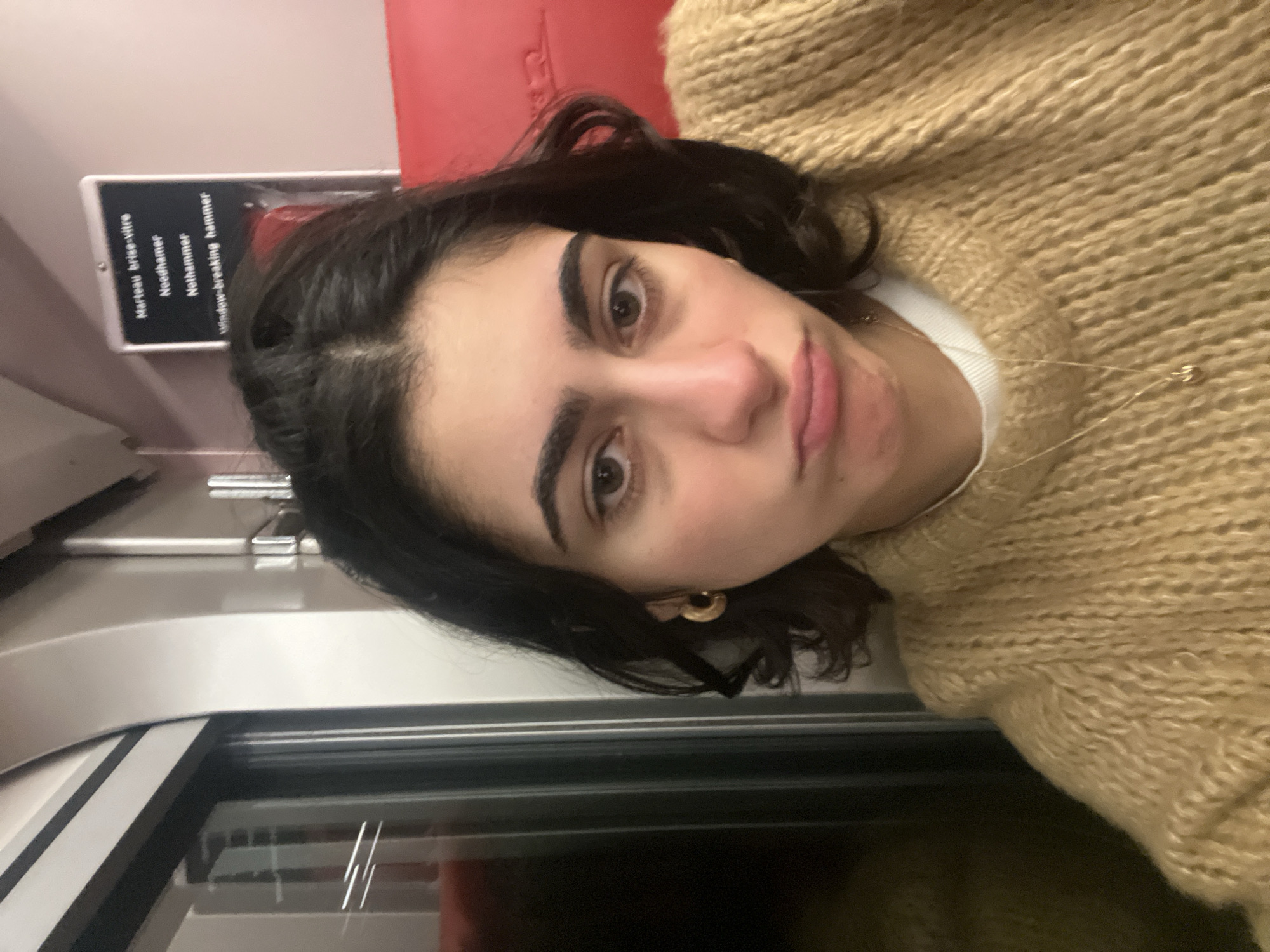 Woman passenger observed on train near Avelin, France