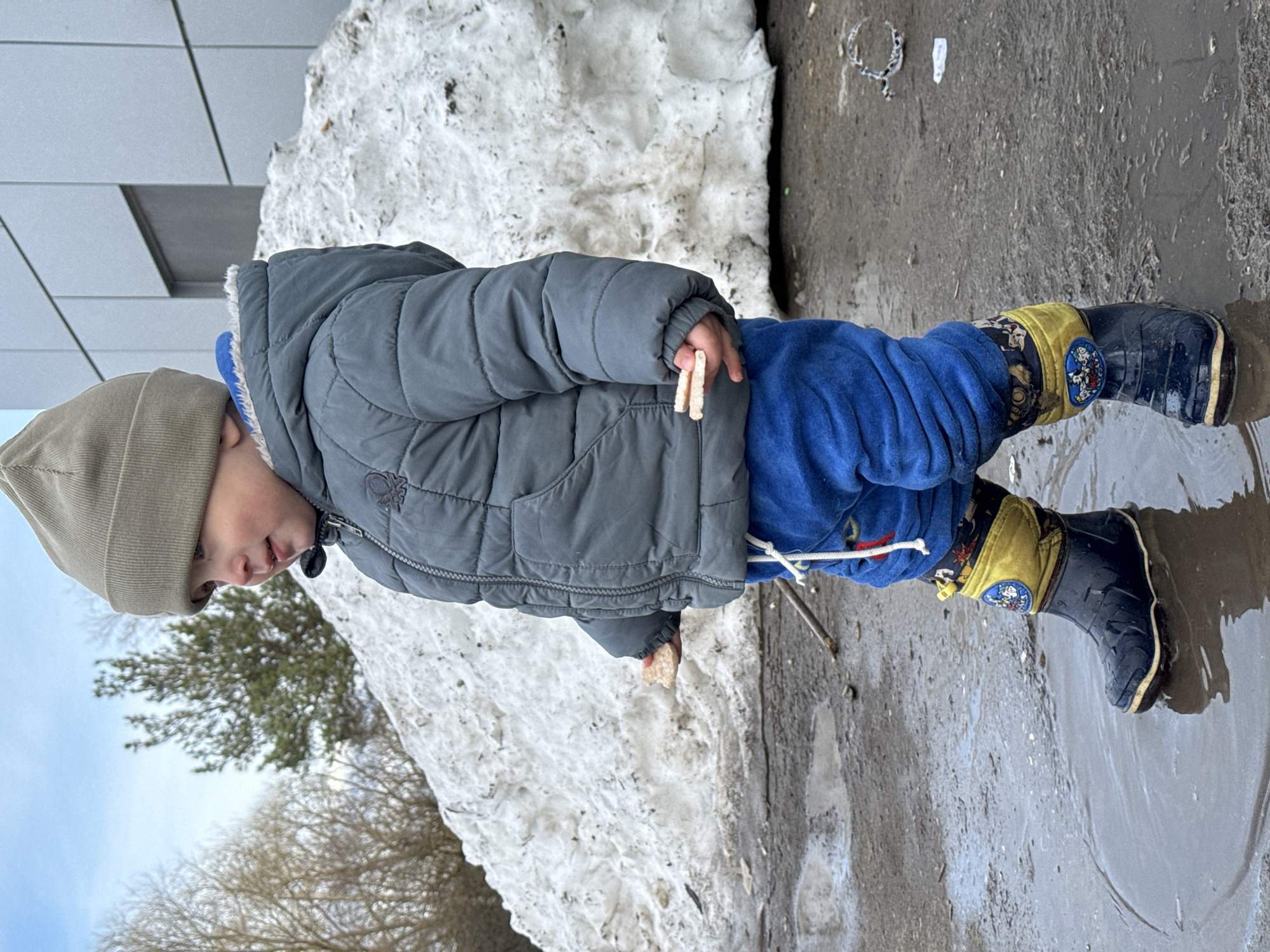 Toddler plays in snow pile and puddle during spring