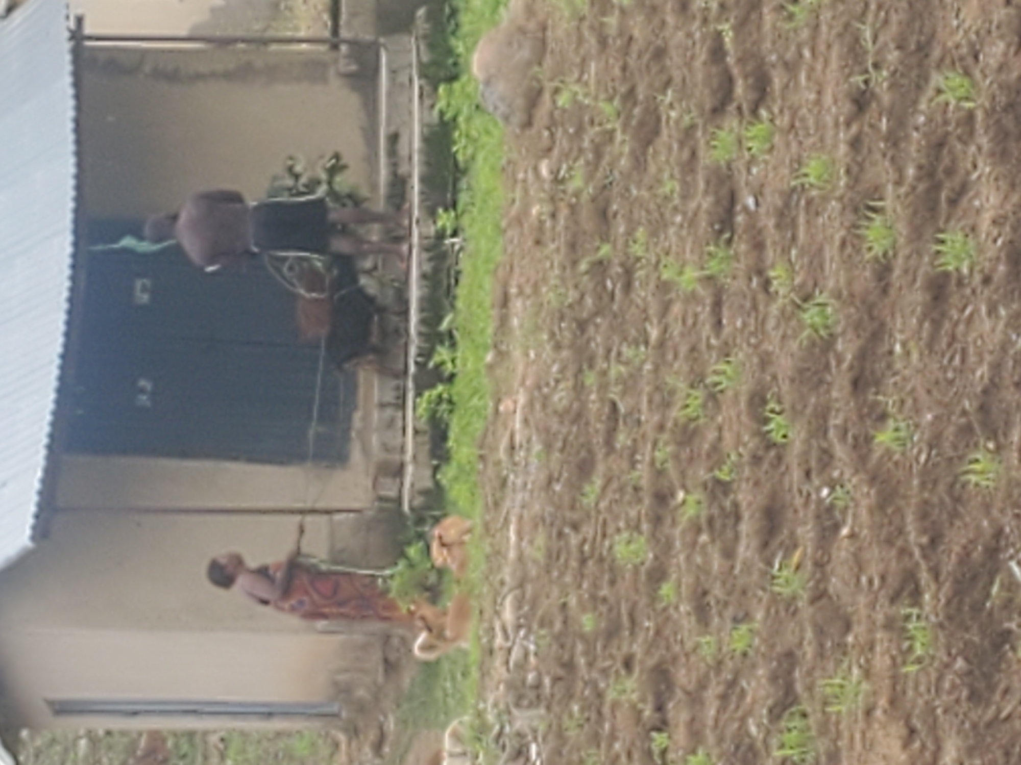 Morning activity around a rural compound in Kabwir, Nigeria