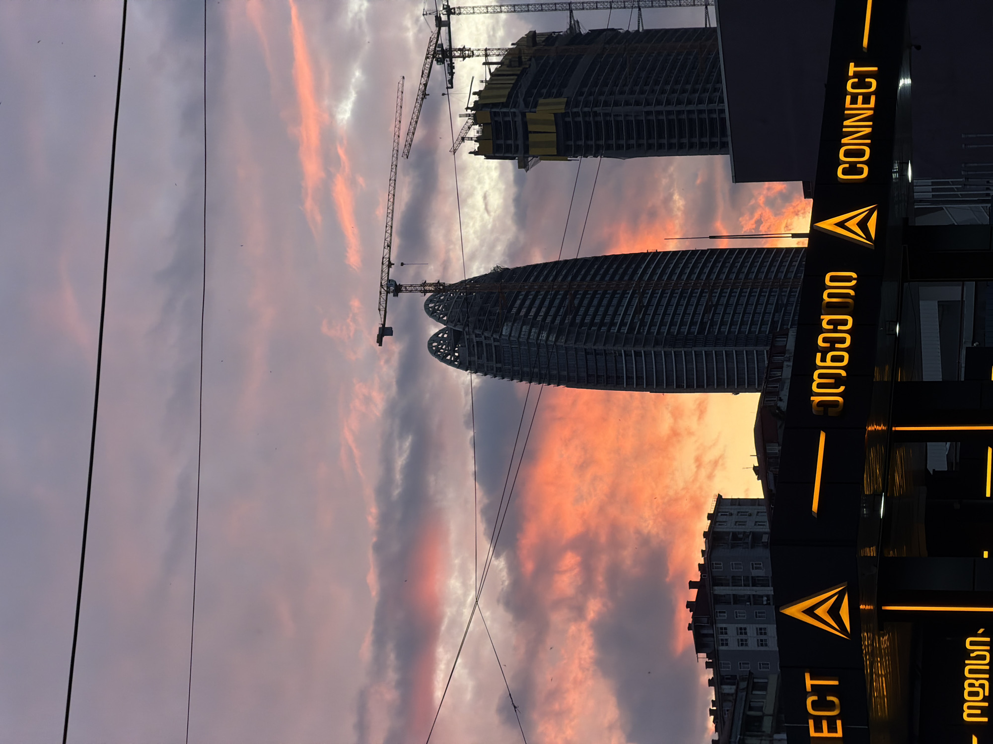 Sunset over Batumi and two cats cuddling nearby
