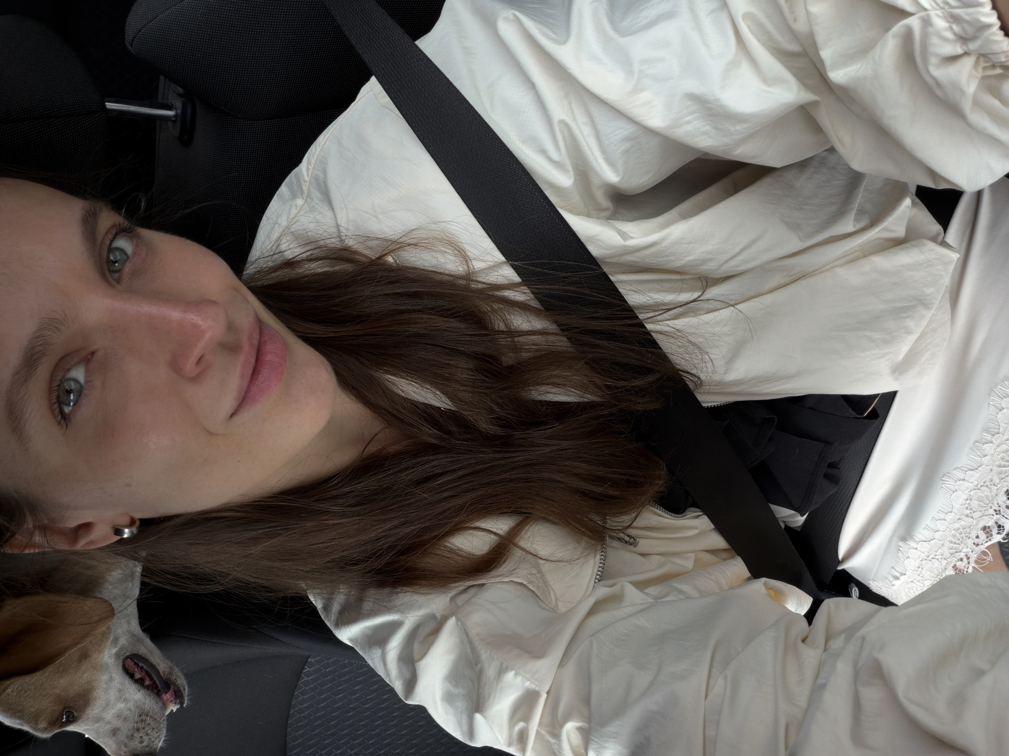 Woman and dog travel by car in Mojanovići, Montenegro