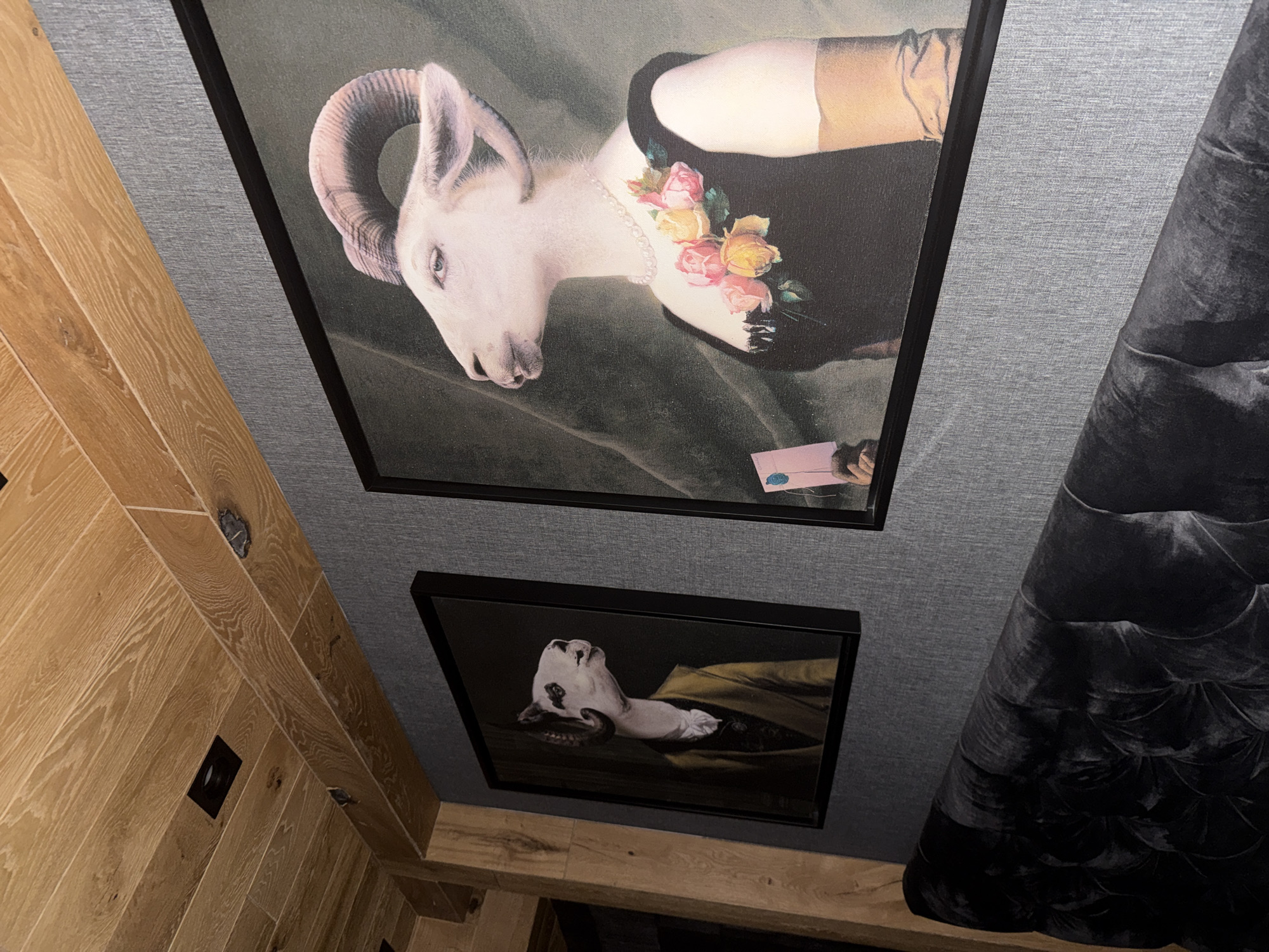 Two framed animal artworks observed on textured gray wall