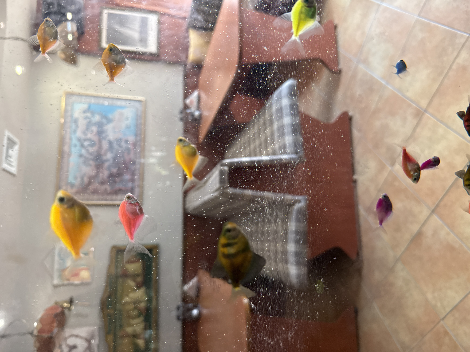 Colorful aquarium built into a restaurant interior in Aksakovo