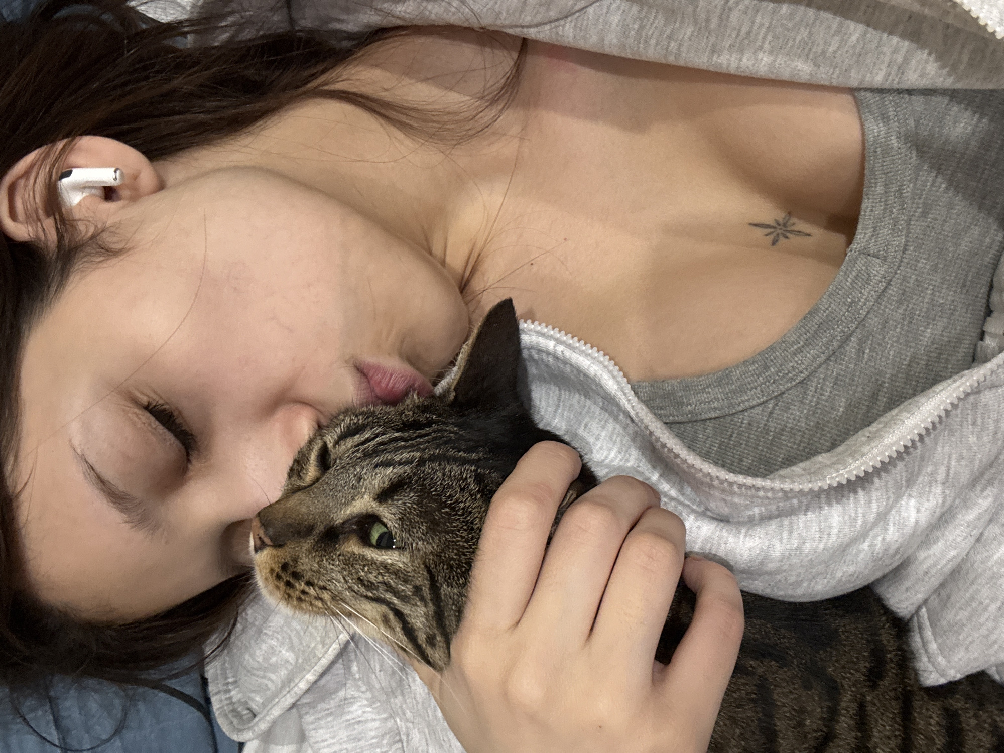 Late night cuddling session with tabby cat in Surgut