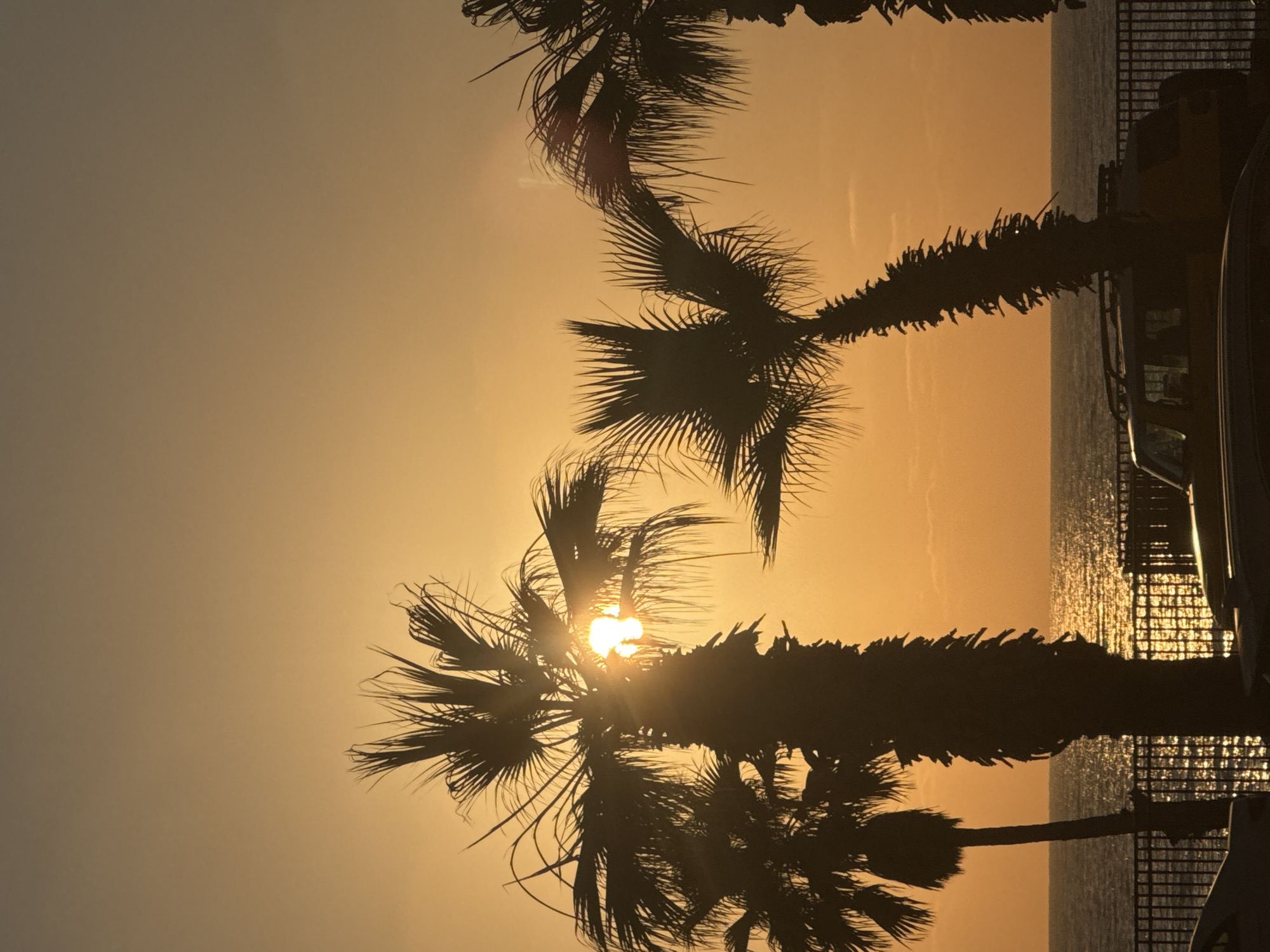 Bat Yam sunset captured from two angles, palm silhouettes and city glow