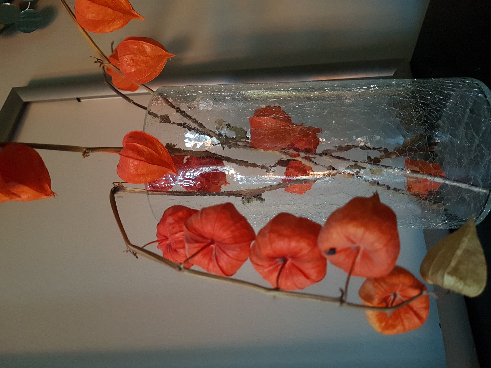 Chinese lantern flowers arranged in cracked vase, Saint Petersburg