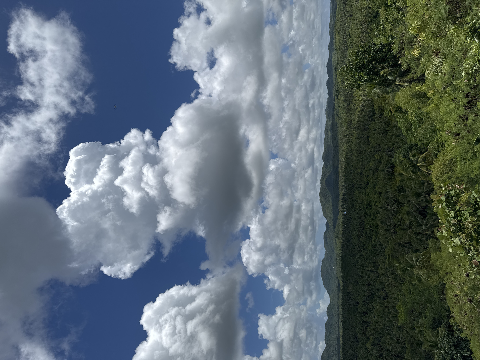 Woman photographs scenic mountain landscape from overlook in Dapa