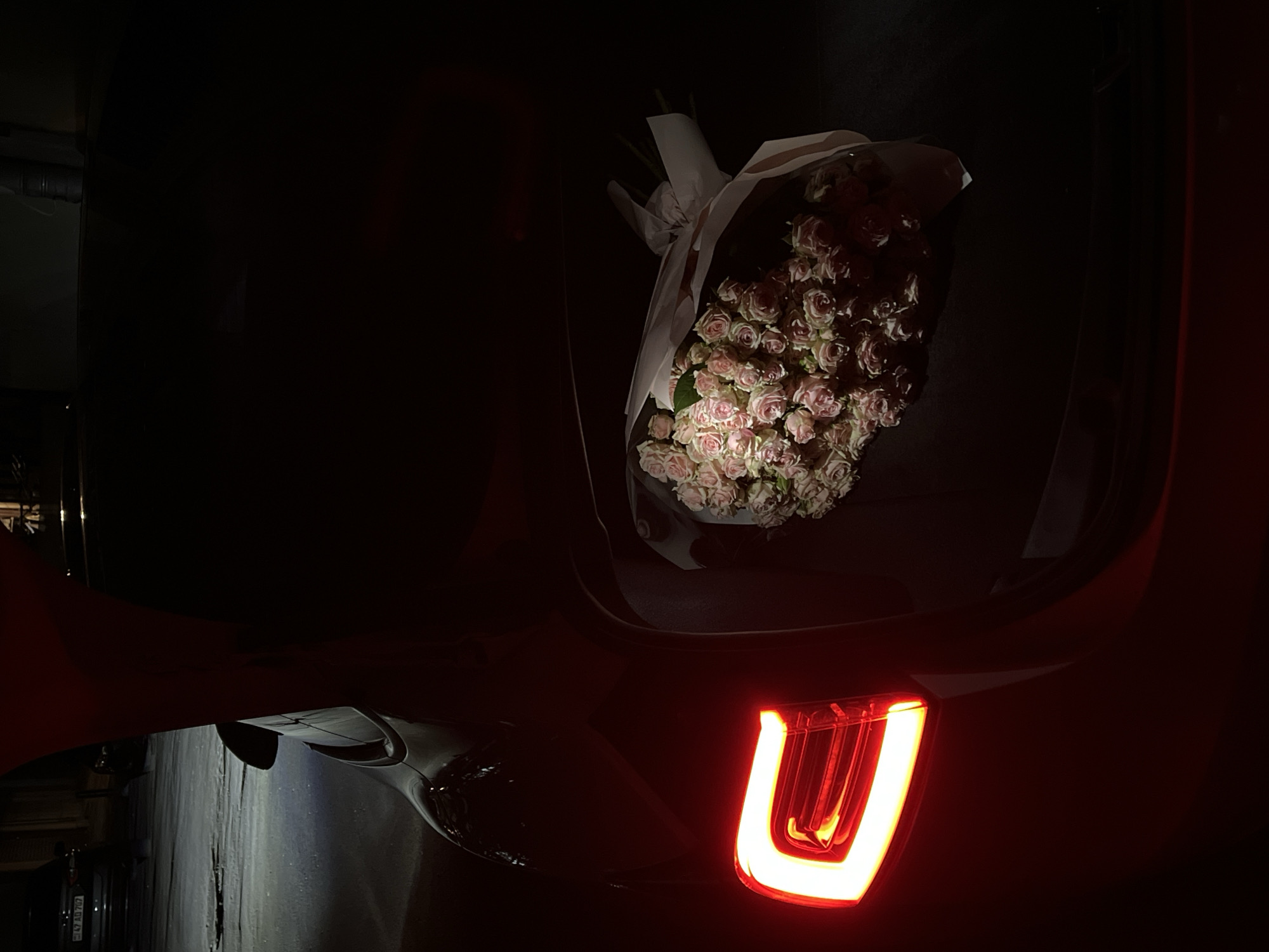 Pink roses left on car trunk in nighttime Yerevan
