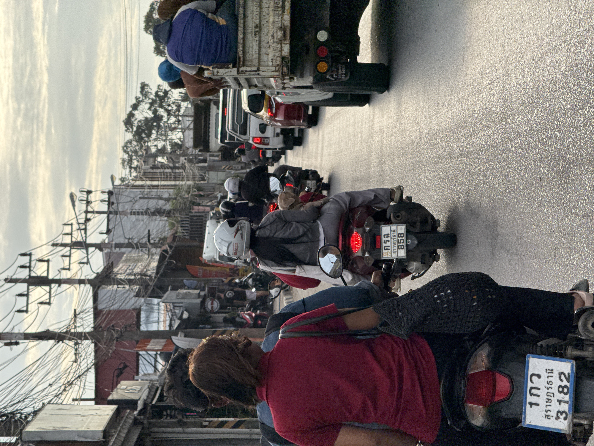 Traffic and a tethered water buffalo on a Ko Samui morning