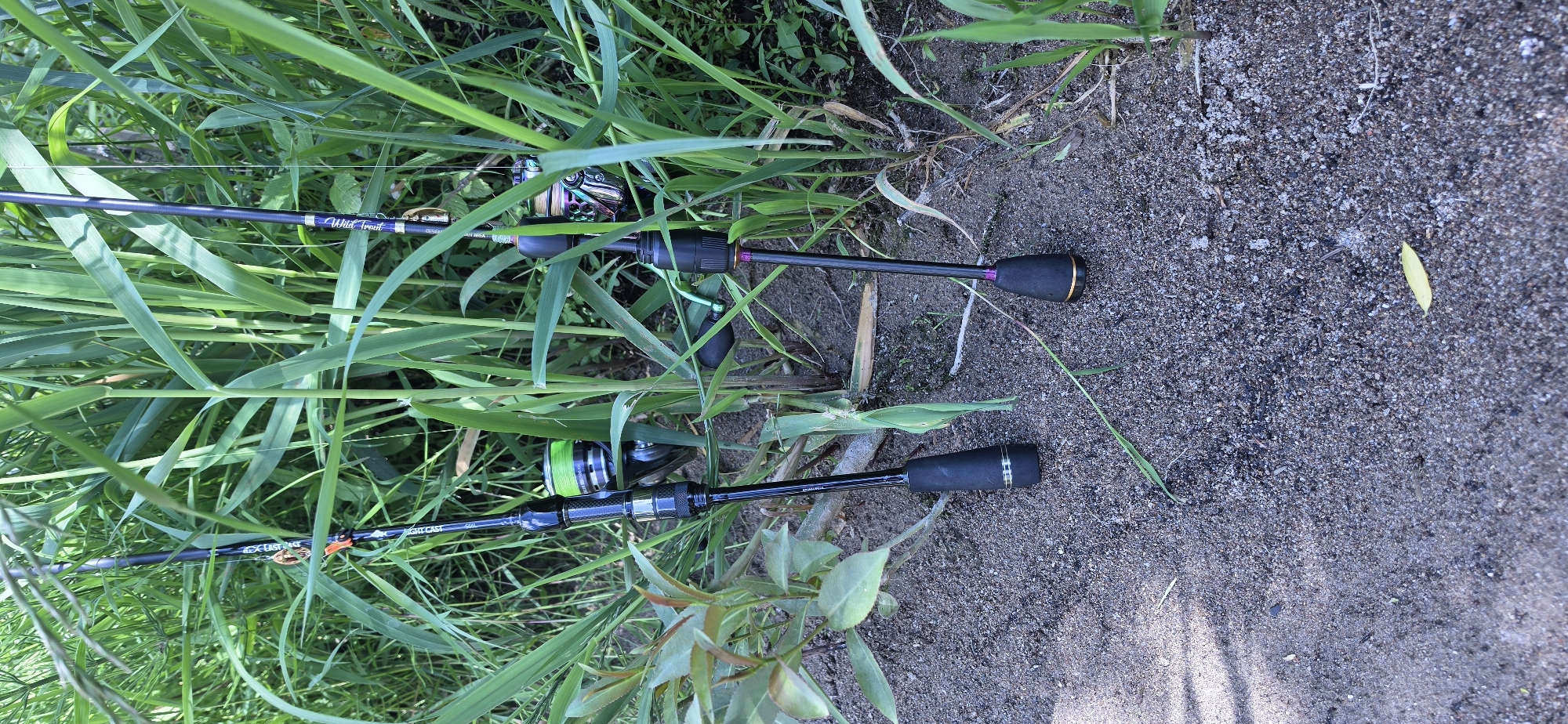 Fishing equipment spotted on ground in Vlahovo, Bulgaria