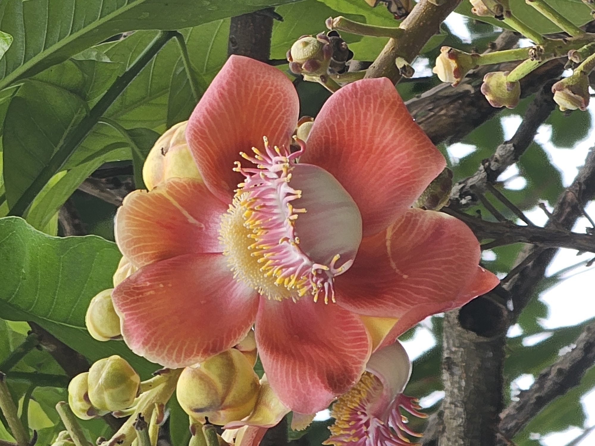 Daily life documented across Denpasar: workers, flowers, transit