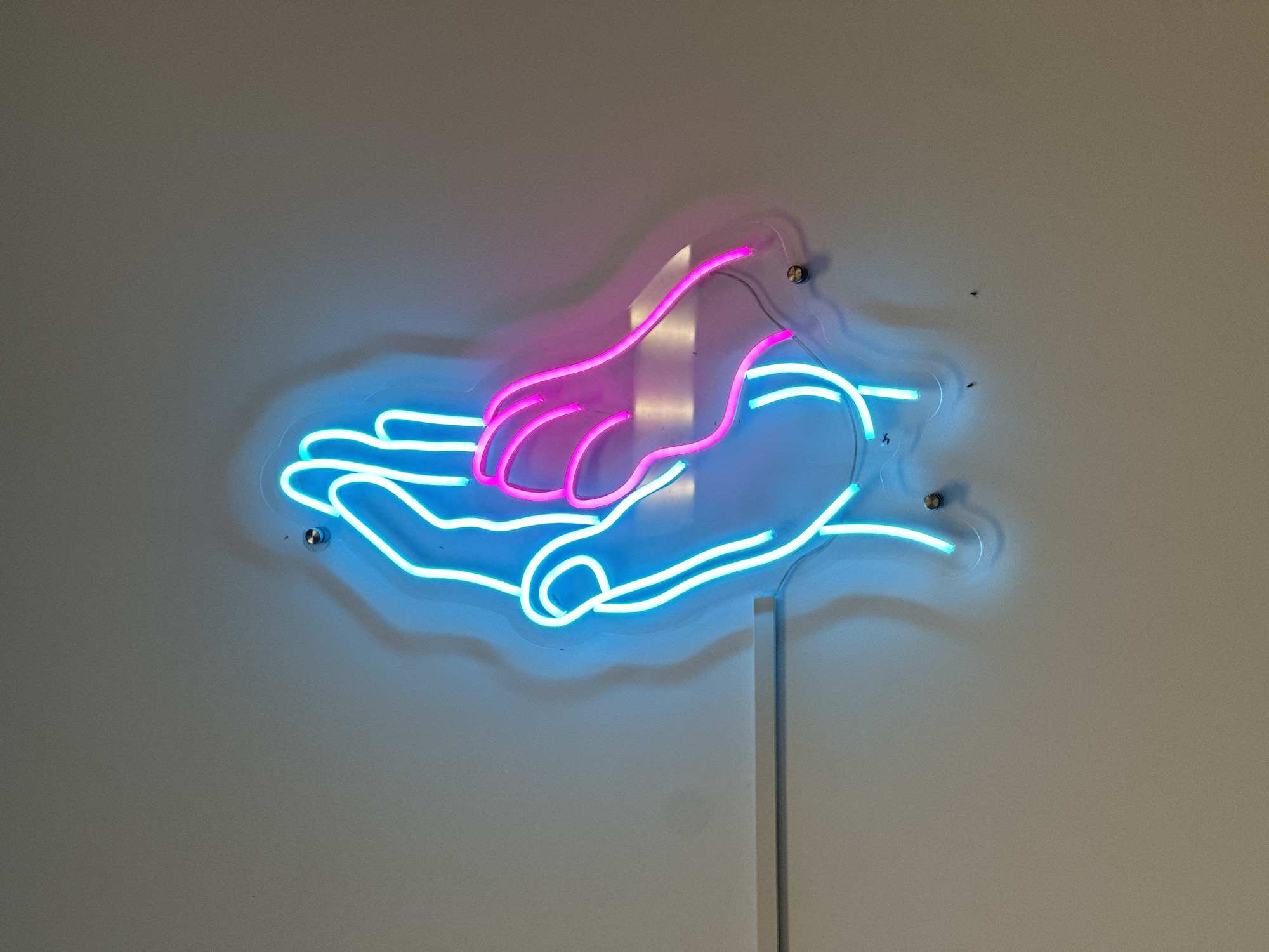 Neon hand sign and decorative turtle figurine, Sochi