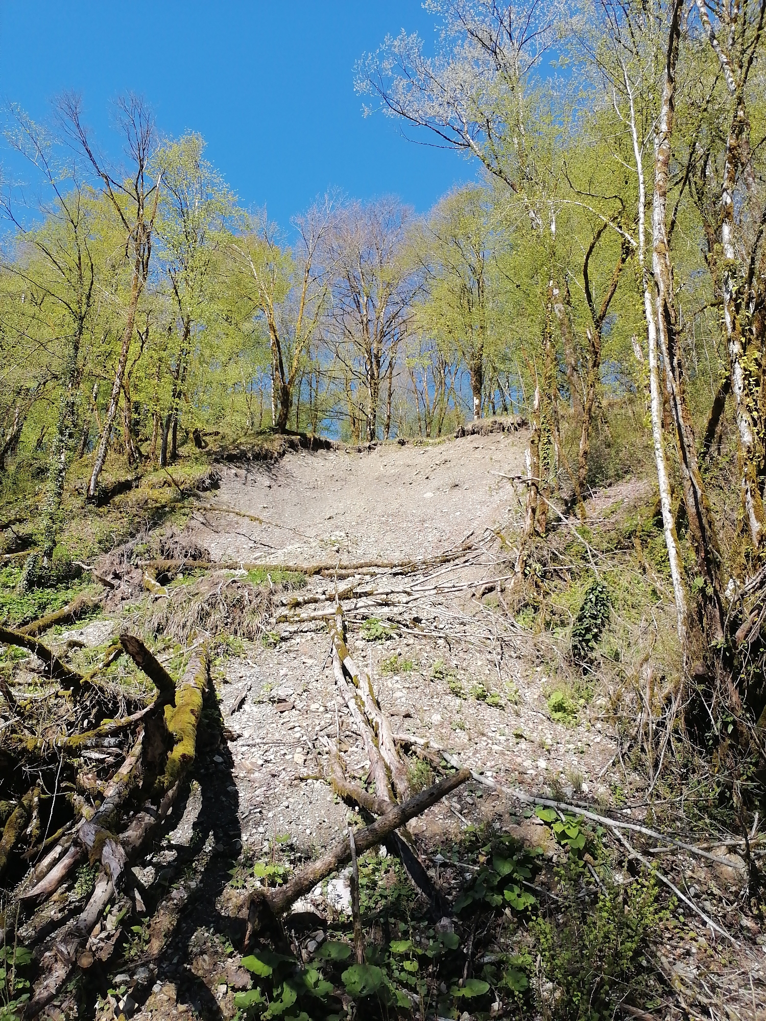 Everyday scenes documented across Chvizhepse, Russia landscape and roads
