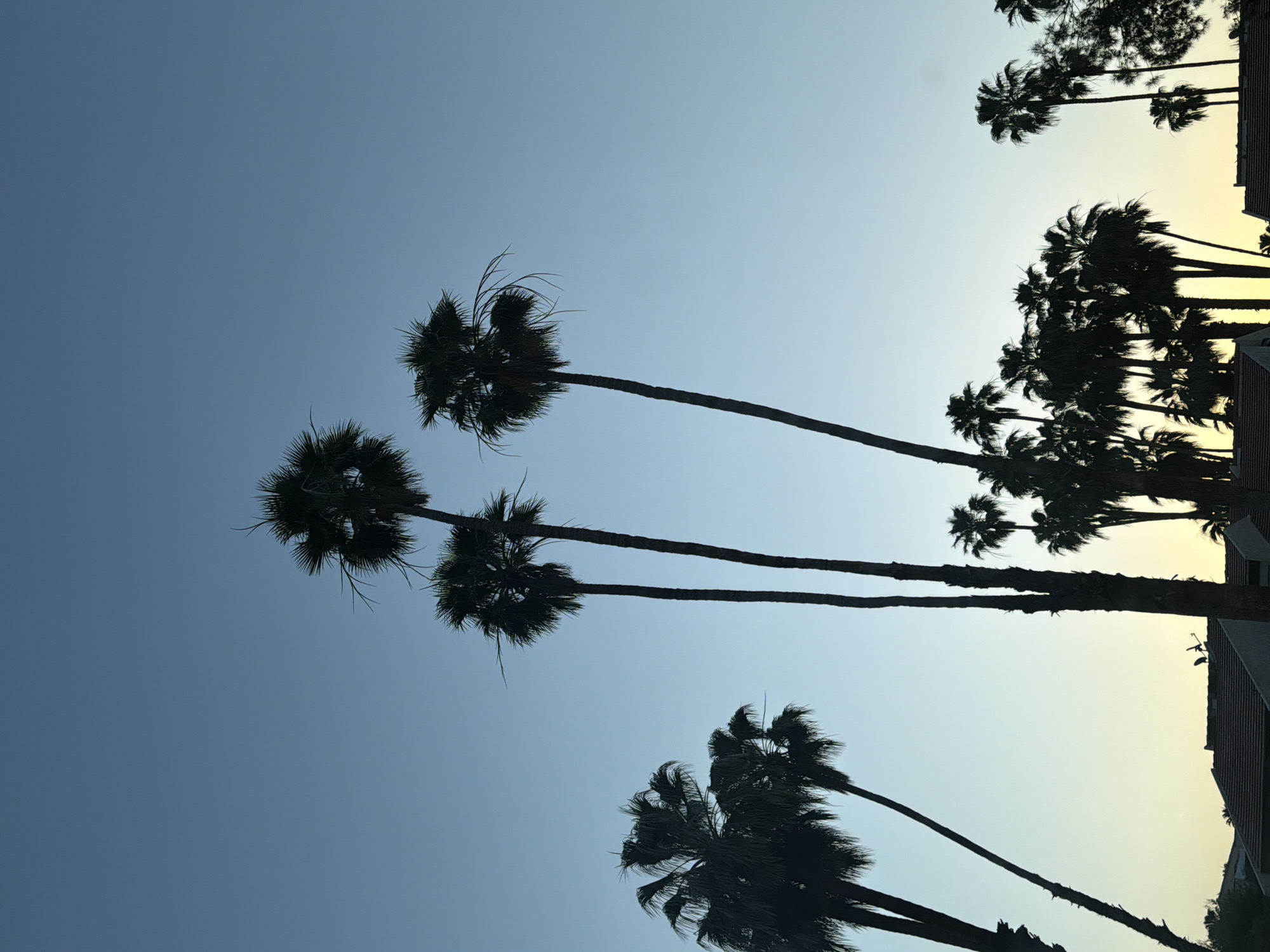 Scenic sunrise or sunset observed in Palm Springs