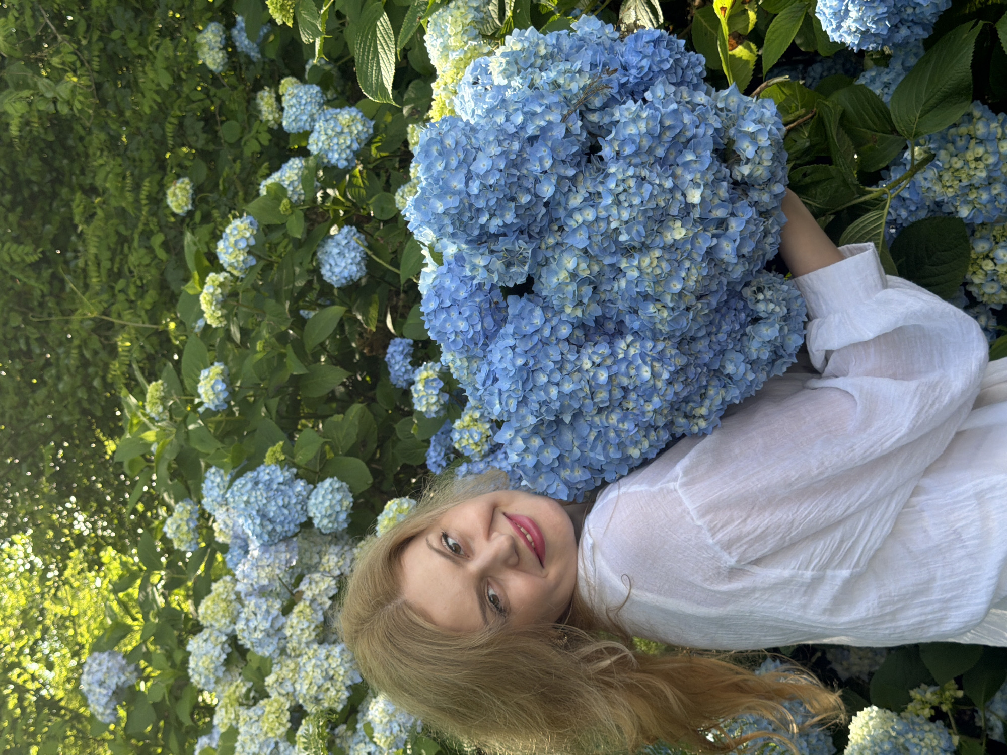 Garden visit among blooming hydrangeas in Tqwarchal, Abkhazia
