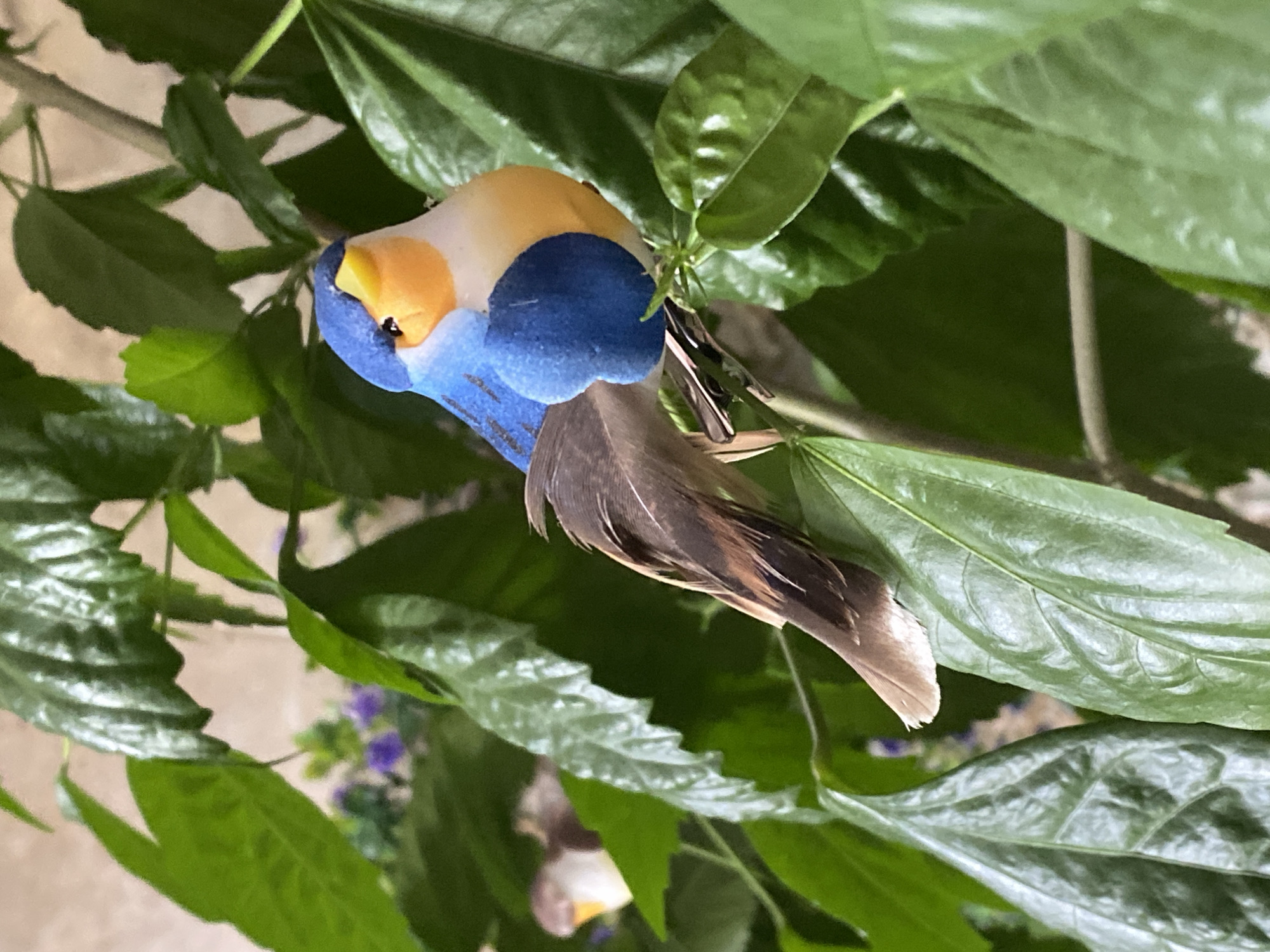 Person documents decorative birds and wooden figures in Novokuznetsk