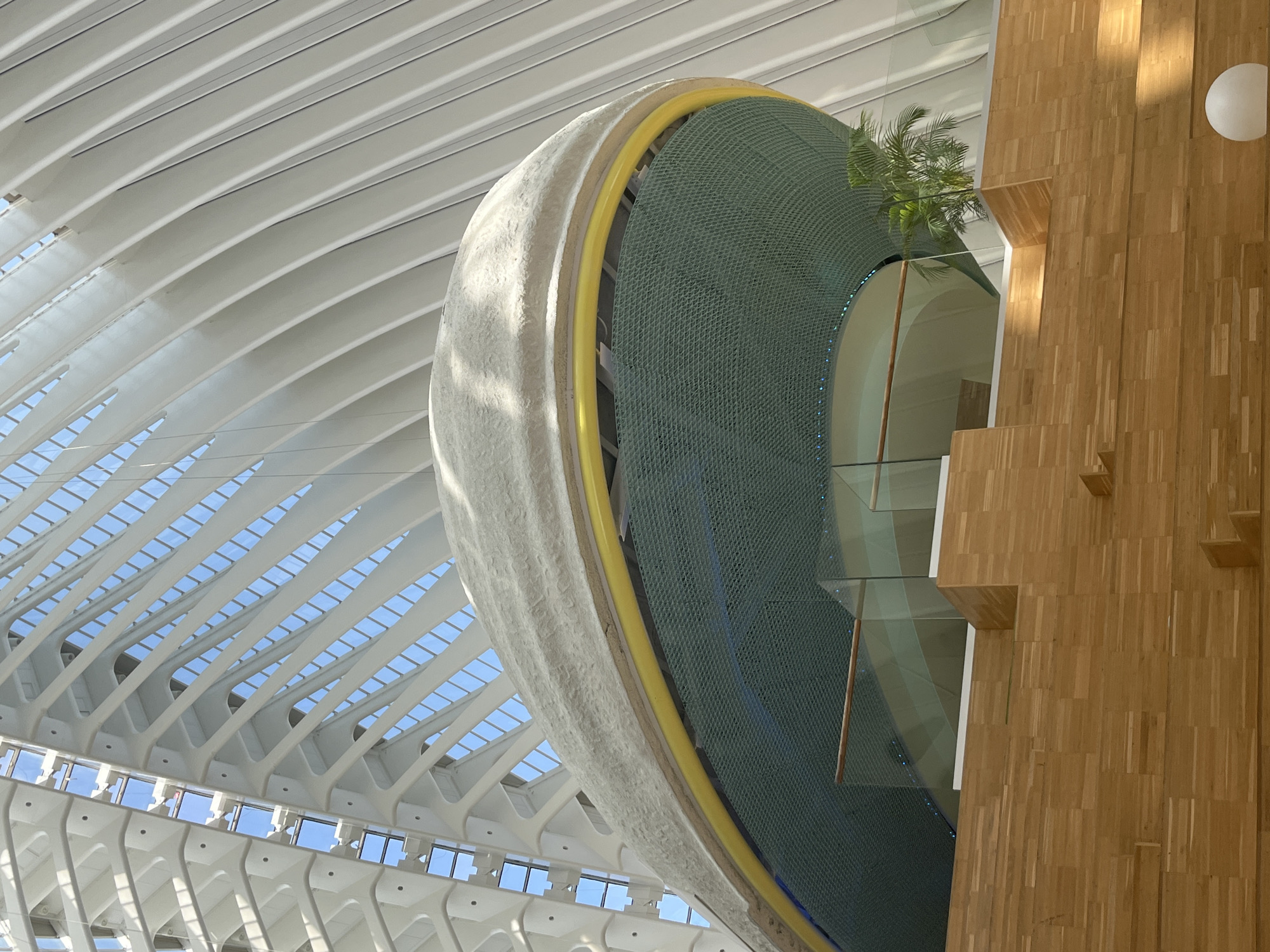 Visitor photographs City of Arts and Sciences interior architecture