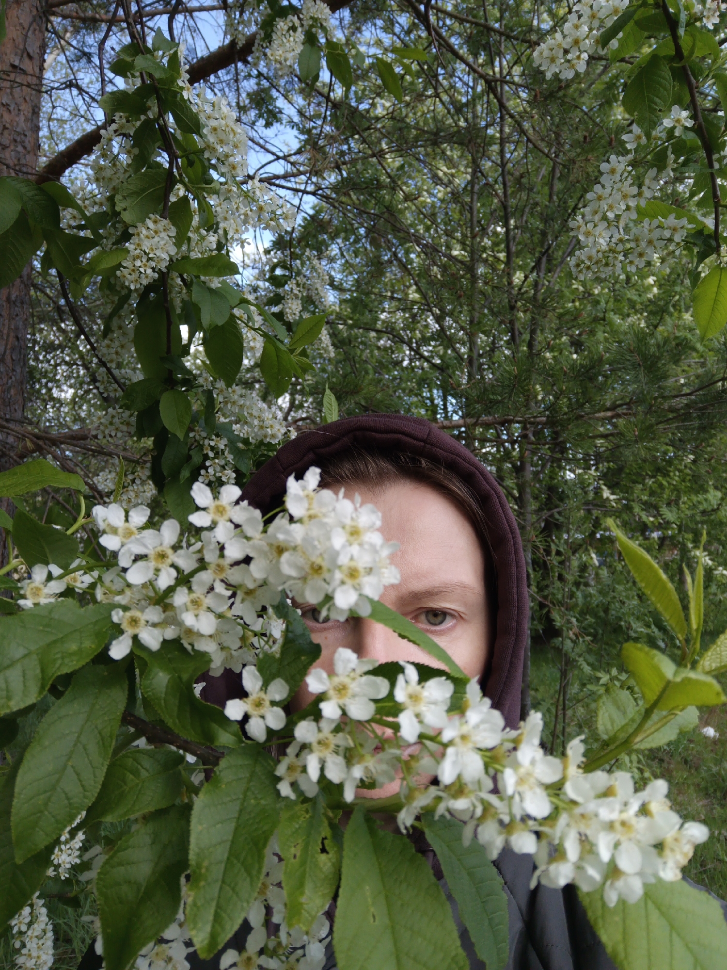 Morning scenes captured in Chaikovsky, Russia with residents and dog