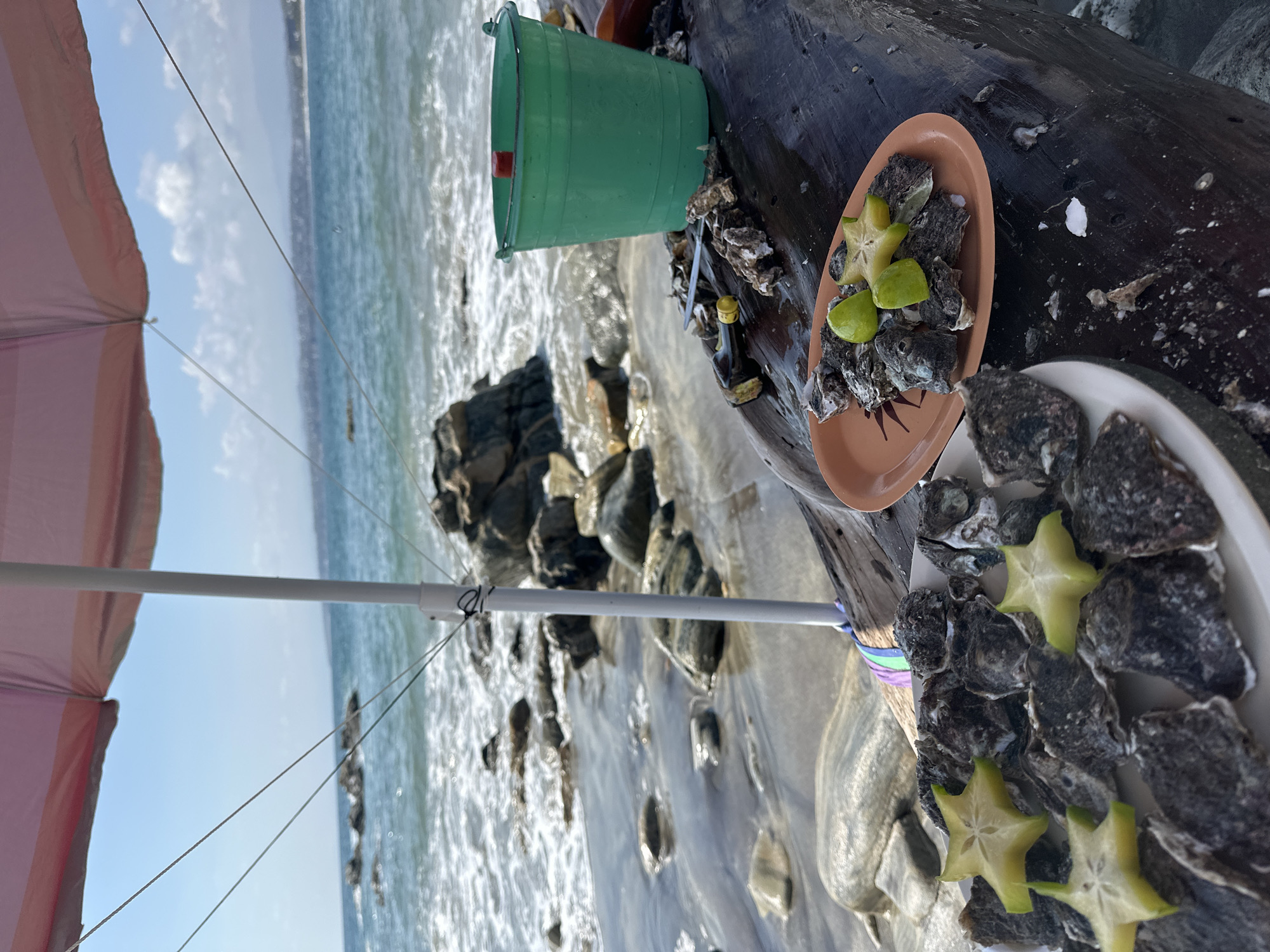 Beach oyster vendor serves fresh seafood at Brisas de Zicatela