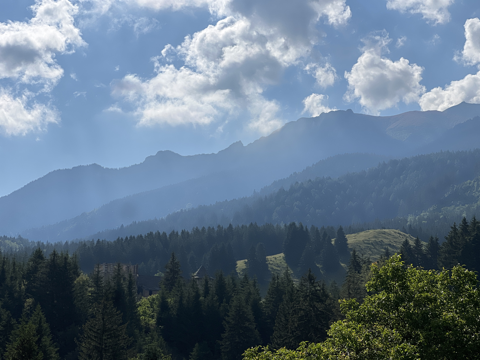Mountain home morning: views out and objects within