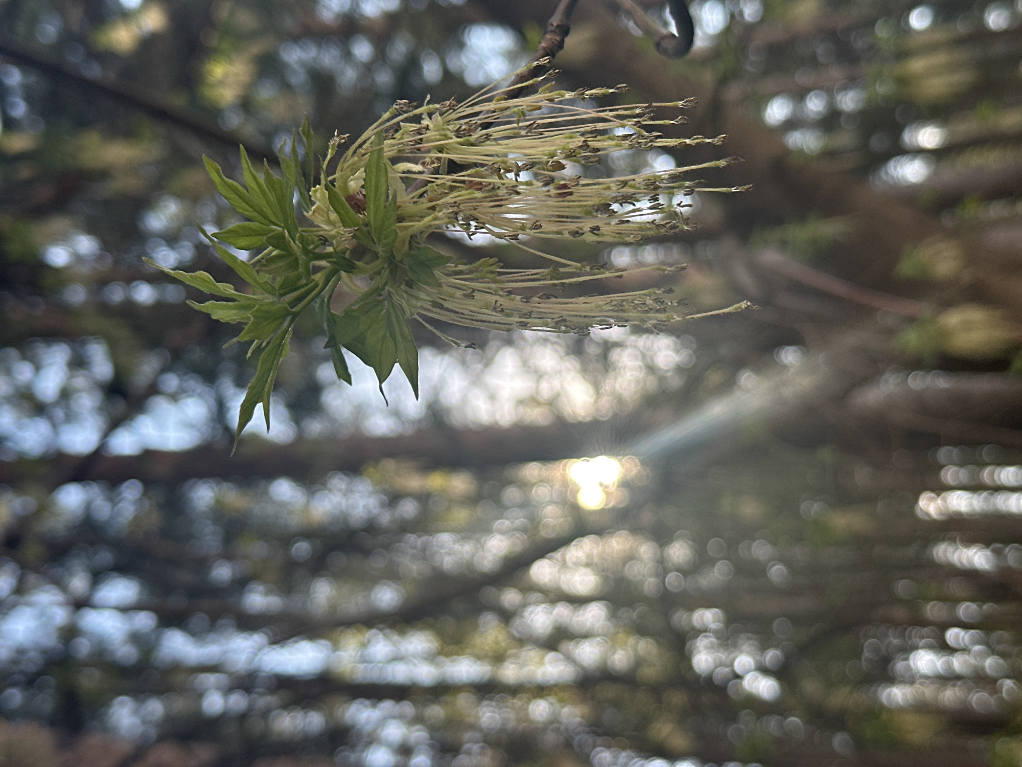 Spring day documented across Chaikovsky, Russia with nature, family moments
