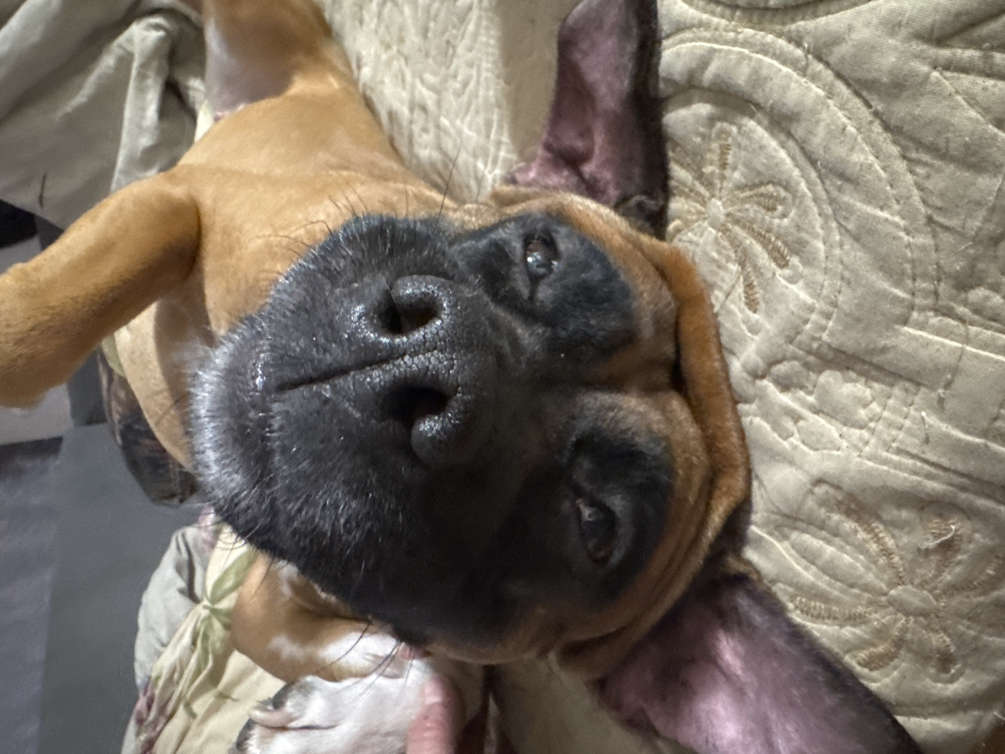 Domestic life glimpses captured in Chaikovsky, Russia suburban setting