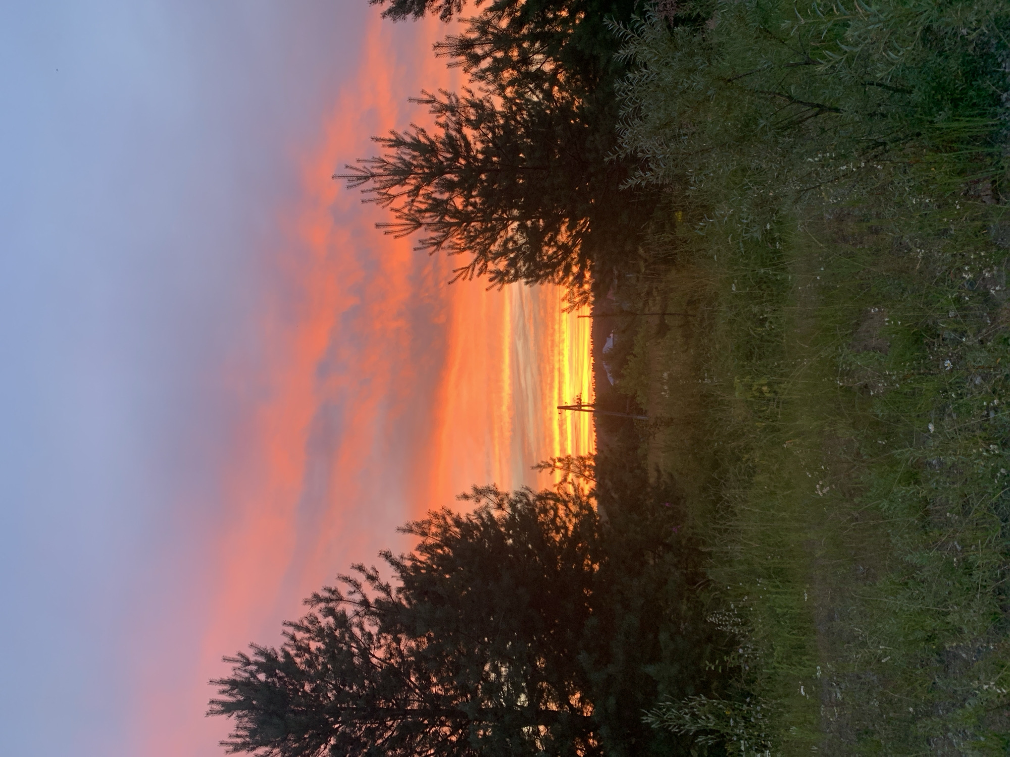 Sunset over fields and treelines in rural Sergeevo, Russia
