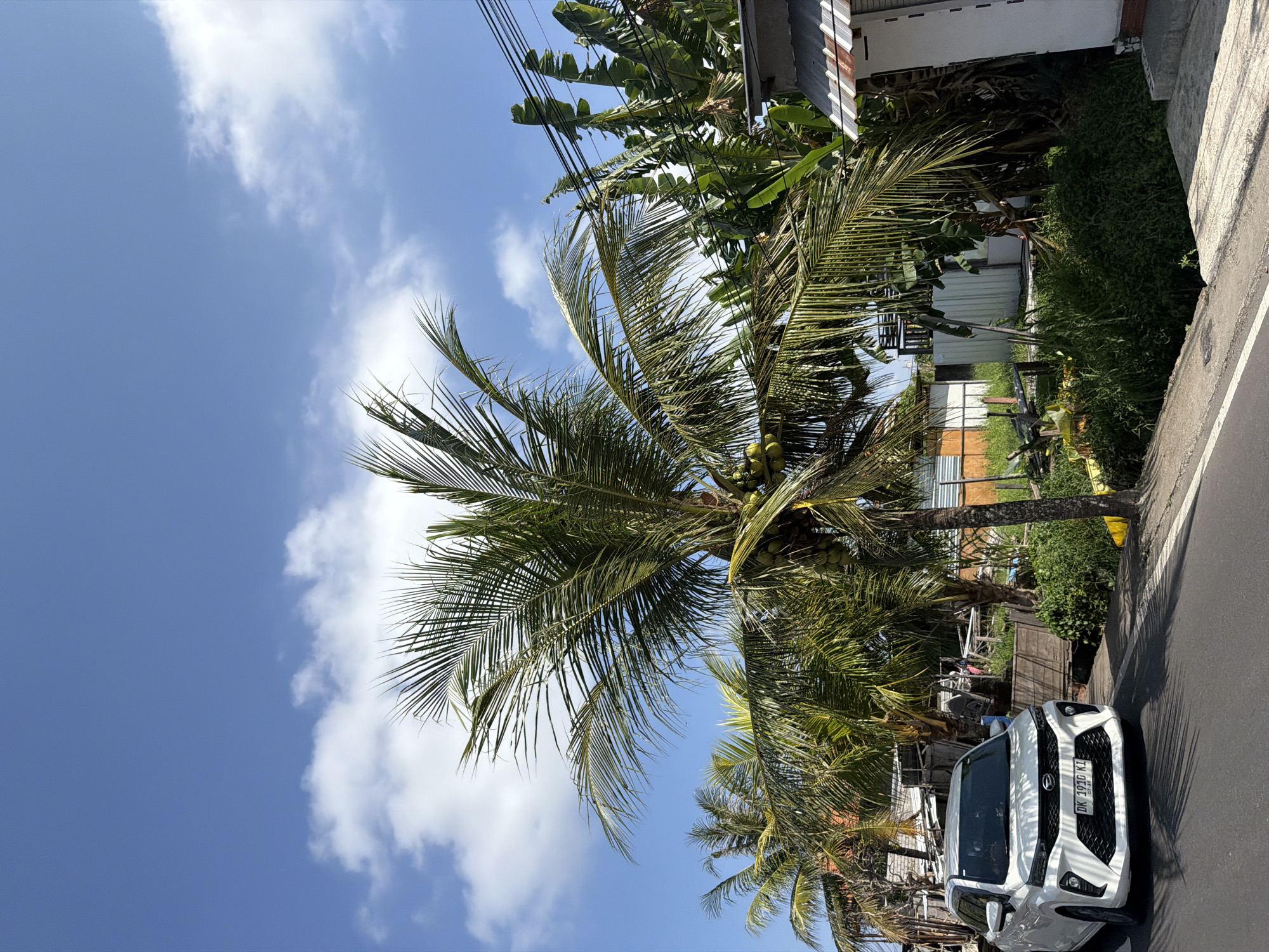 Roadside stop amid rice paddies and palms in Blahbatuh